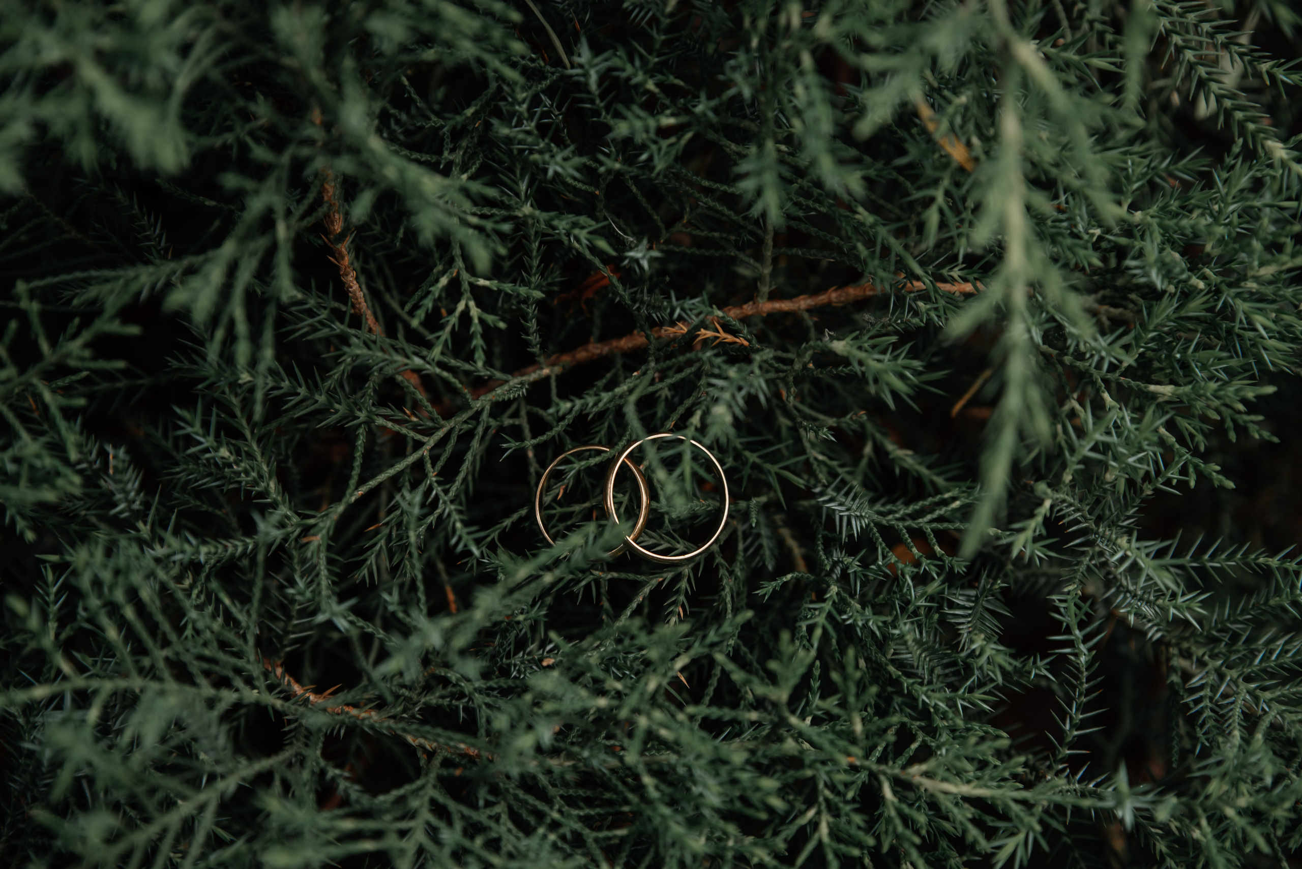 Станислав и Александра. Фотограф Дарья Борисова в г. Новочеркасск и РО