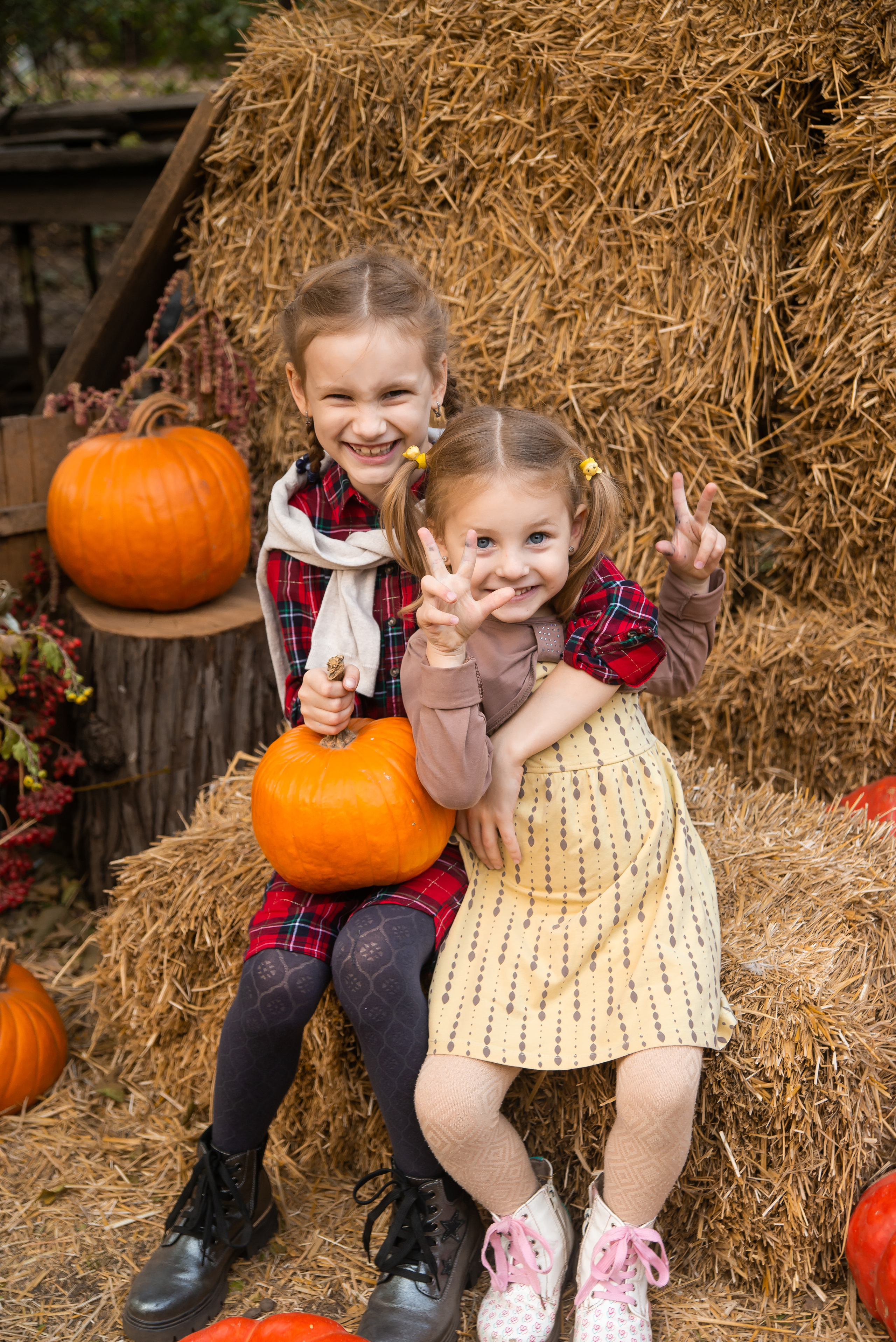 Семейные и индивидуальные. Фотограф Дарья Борисова в г. Новочеркасск и РО