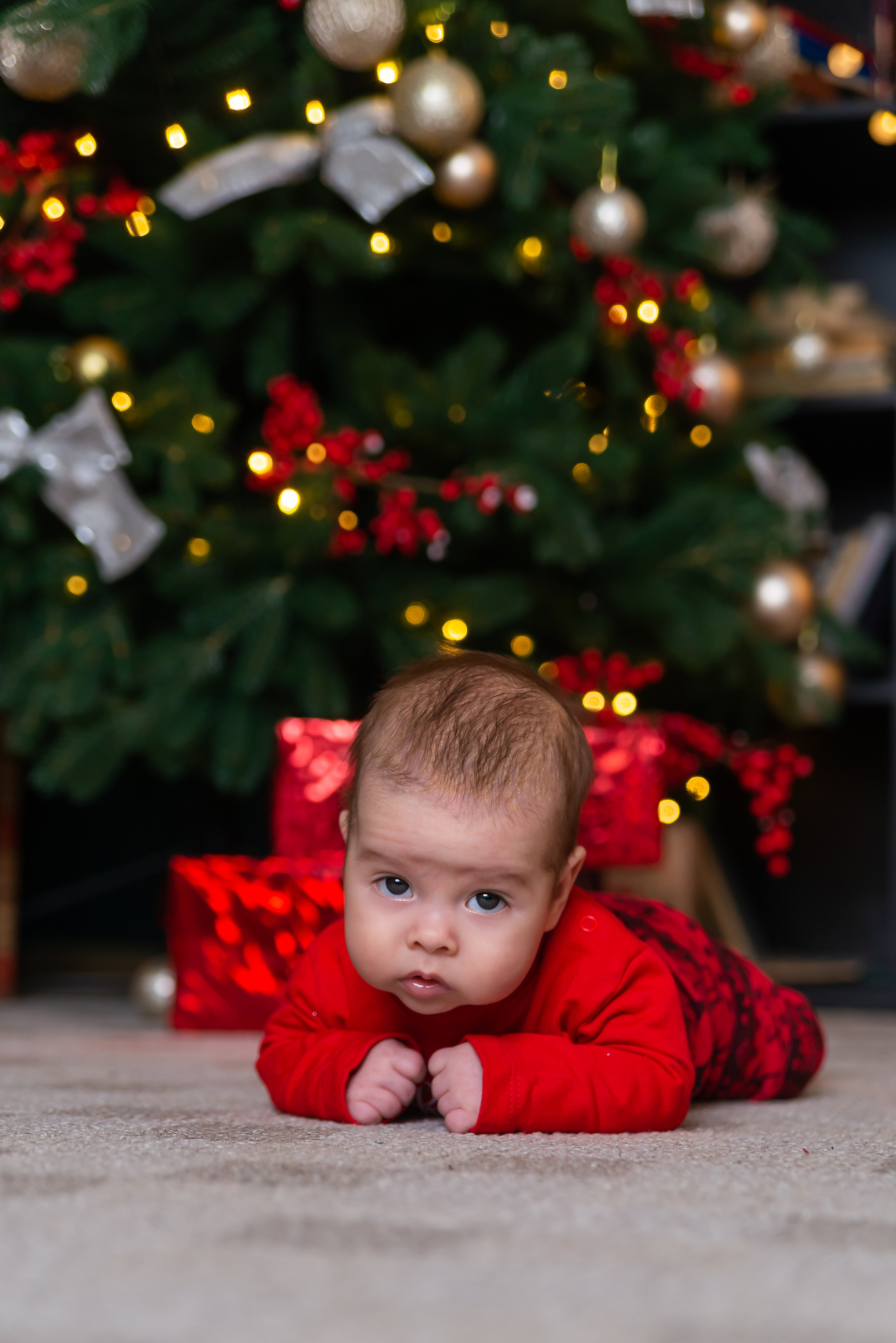 Новый год. Фотограф Дарья Борисова в г. Новочеркасск и РО