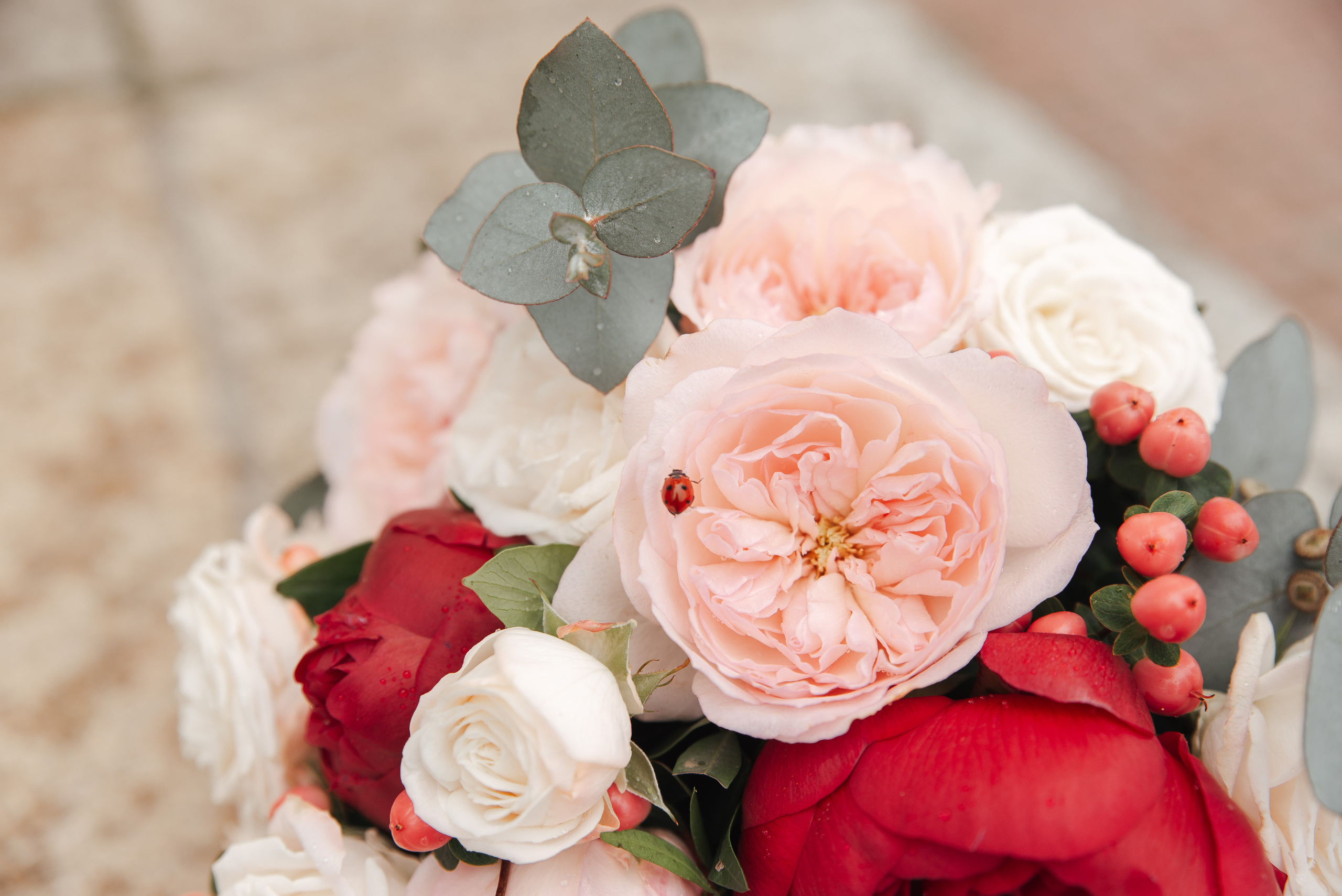 Евгений и Карина. Фотограф Дарья Борисова в г. Новочеркасск и РО