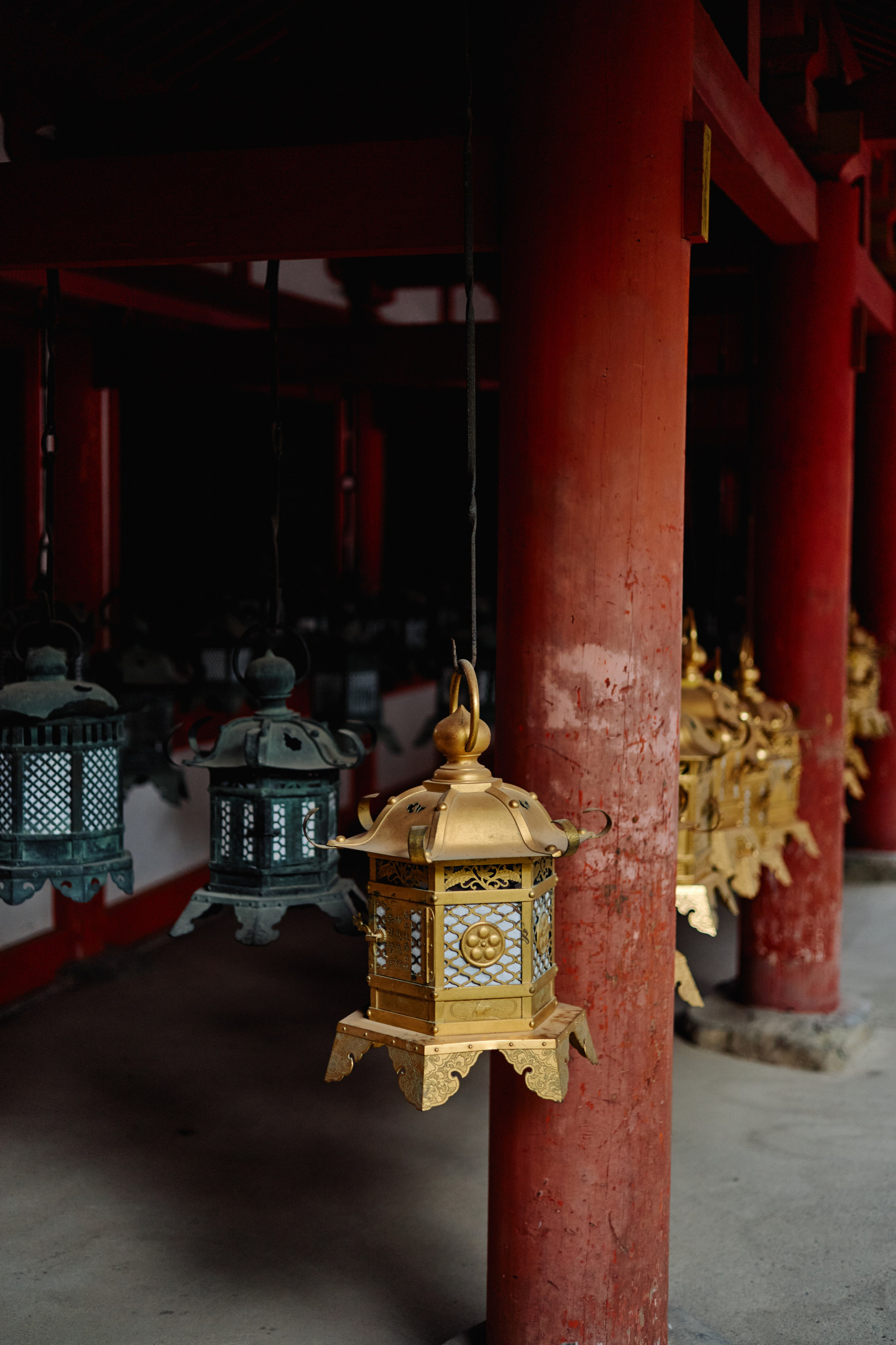 Япония. Профессиональный Фотограф во Владимире, в Москве и в Суздале — Полина Романычева