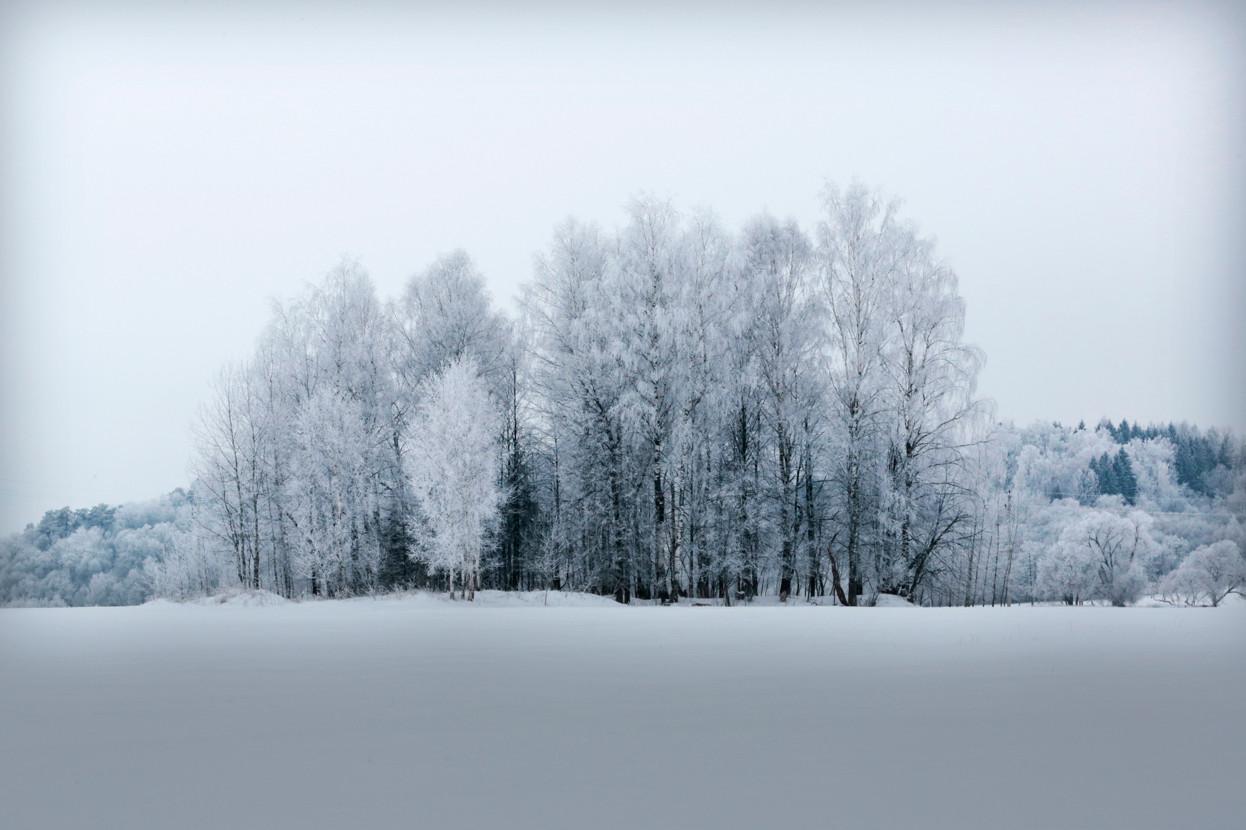 ВЫСТАВКИ. Фотограф Роман Торбеев