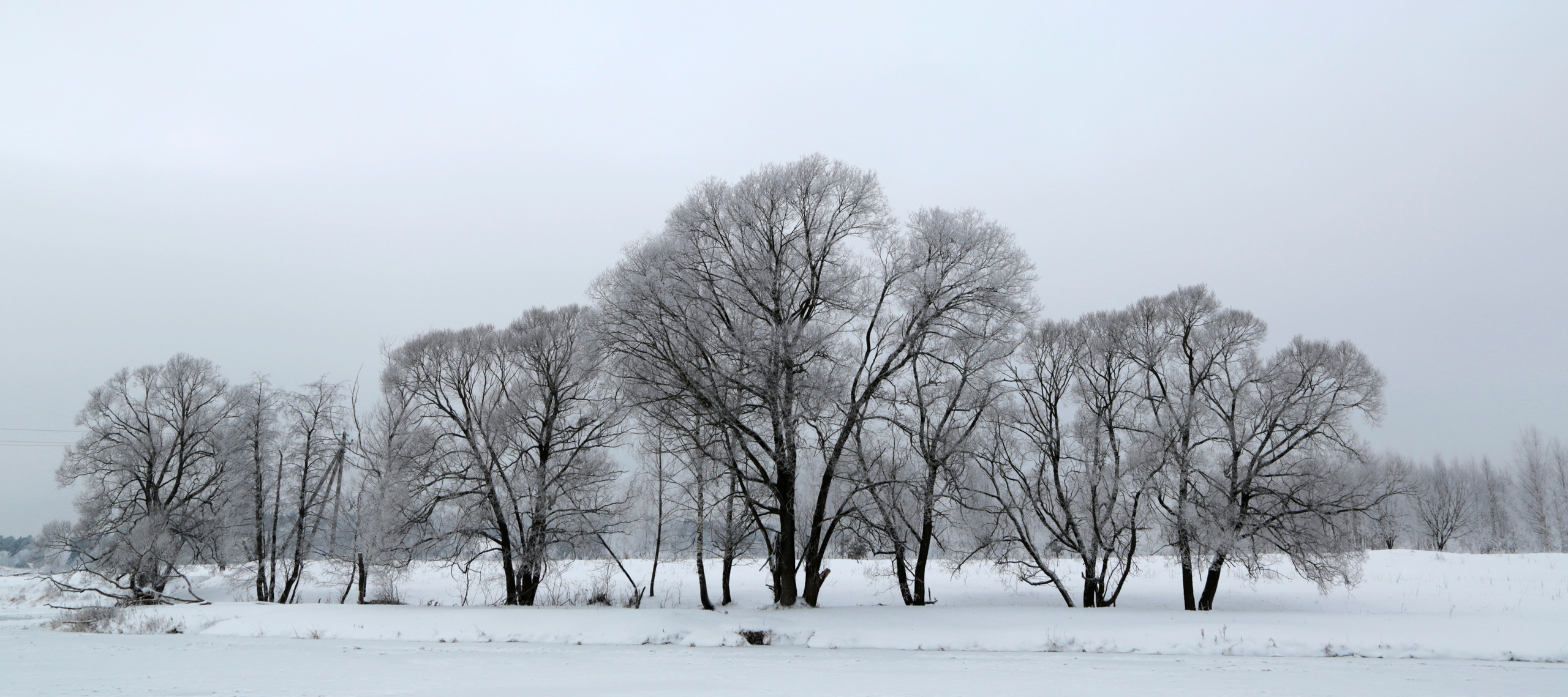 ВЫСТАВКИ. Фотограф Роман Торбеев