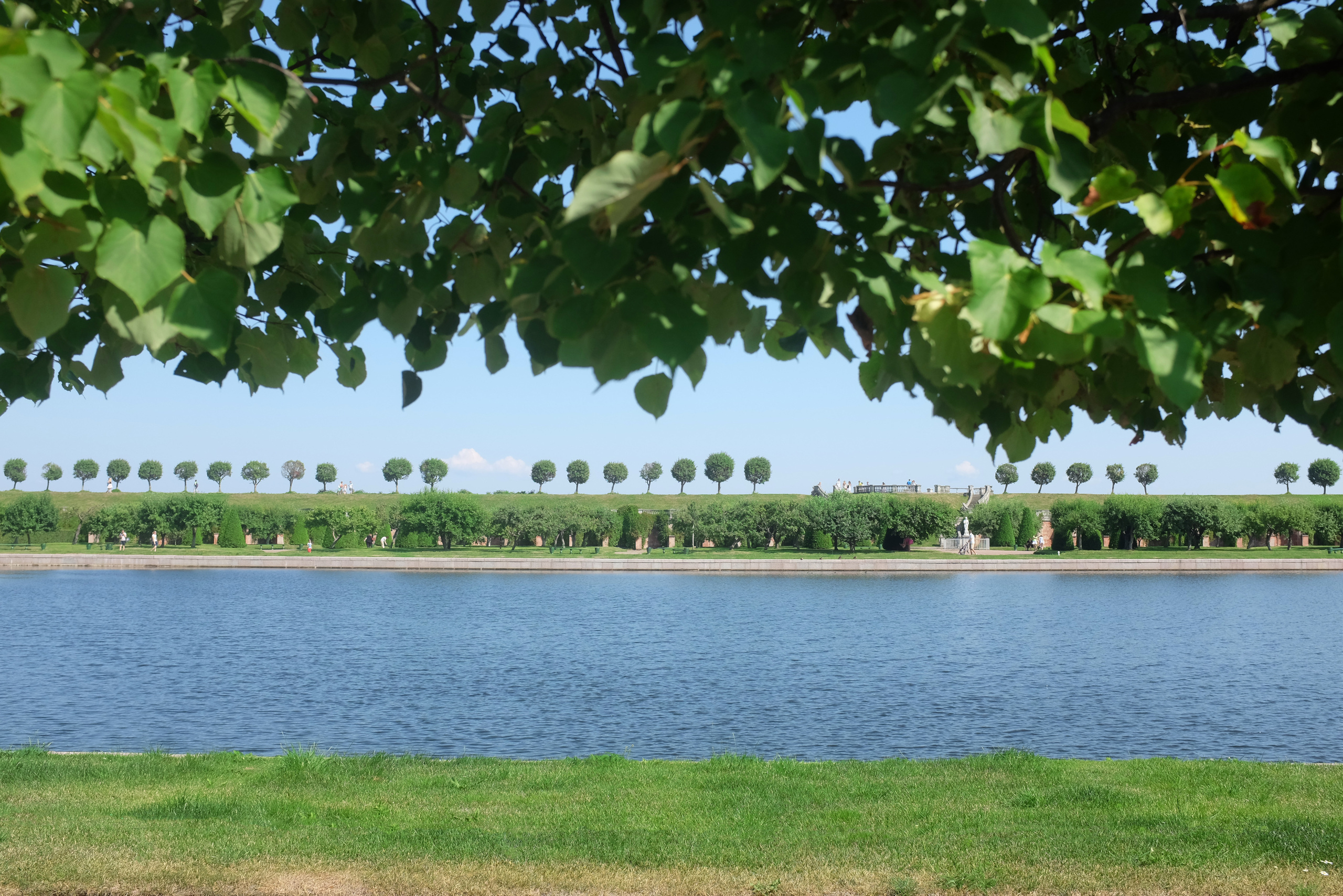 ВЫСТАВКИ. Фотограф Роман Торбеев