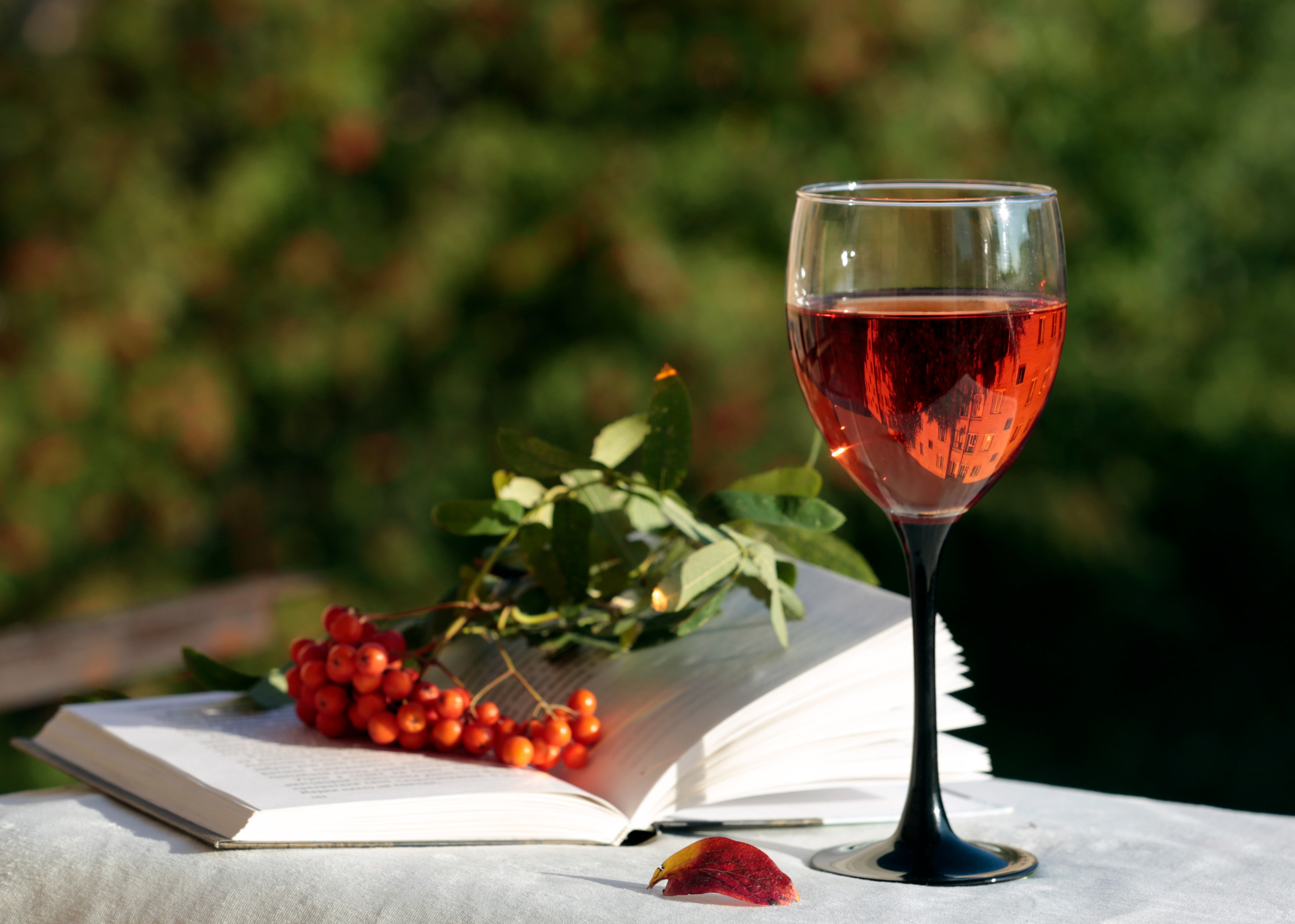 ВЫСТАВКИ. Фотограф Роман Торбеев