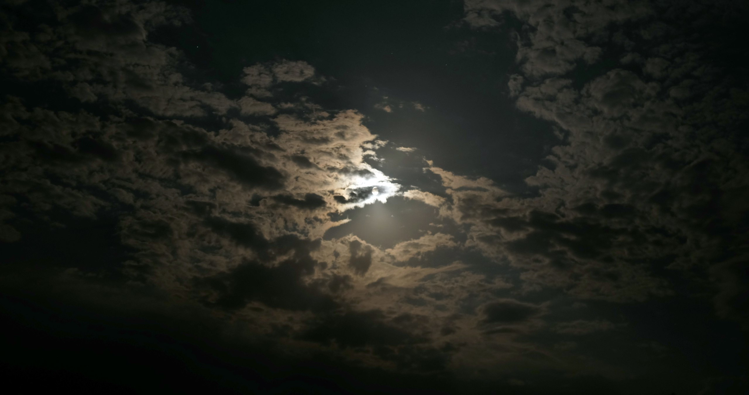 ВЫСТАВКИ. Фотограф Роман Торбеев