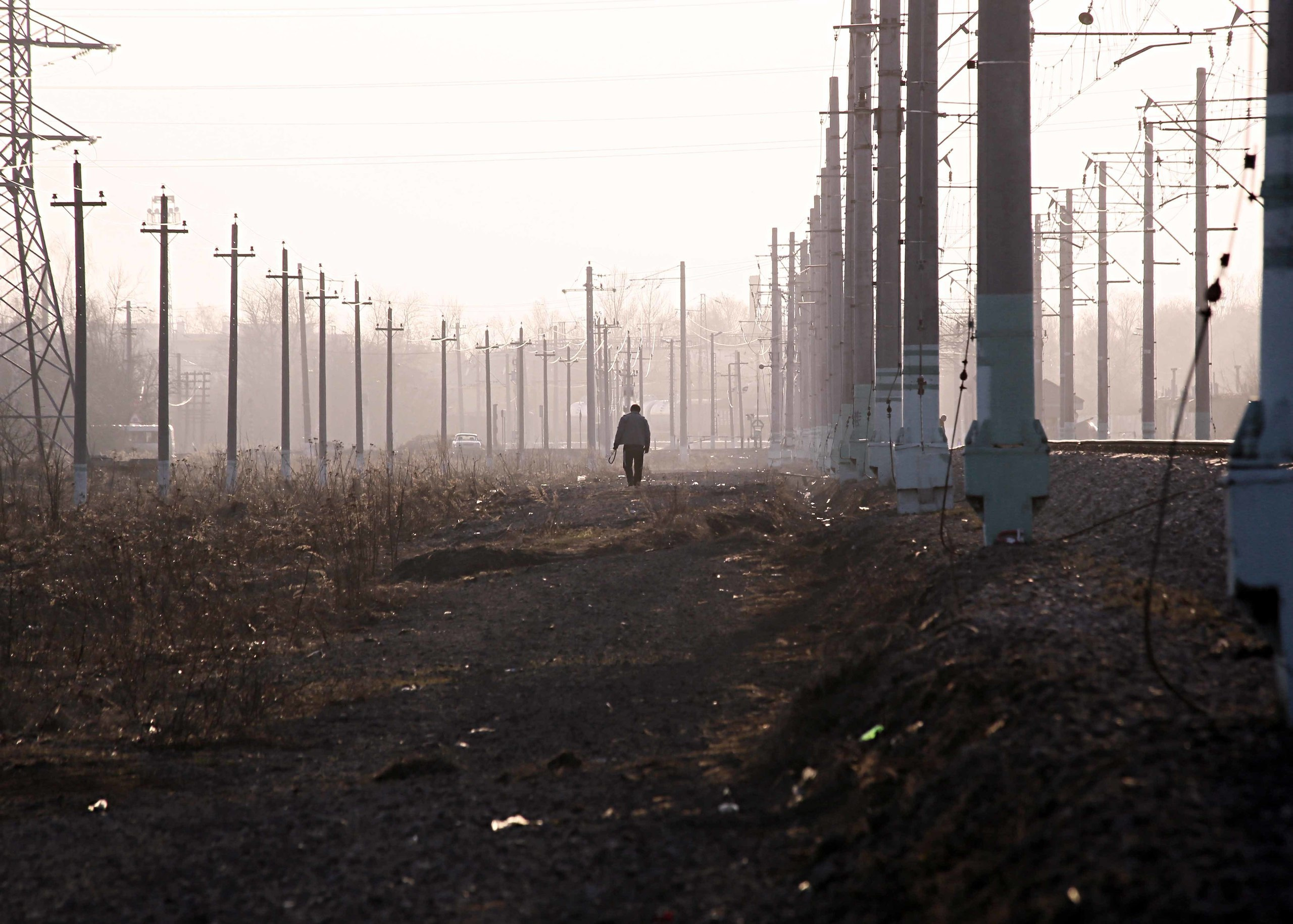 ВЫСТАВКИ. Фотограф Роман Торбеев