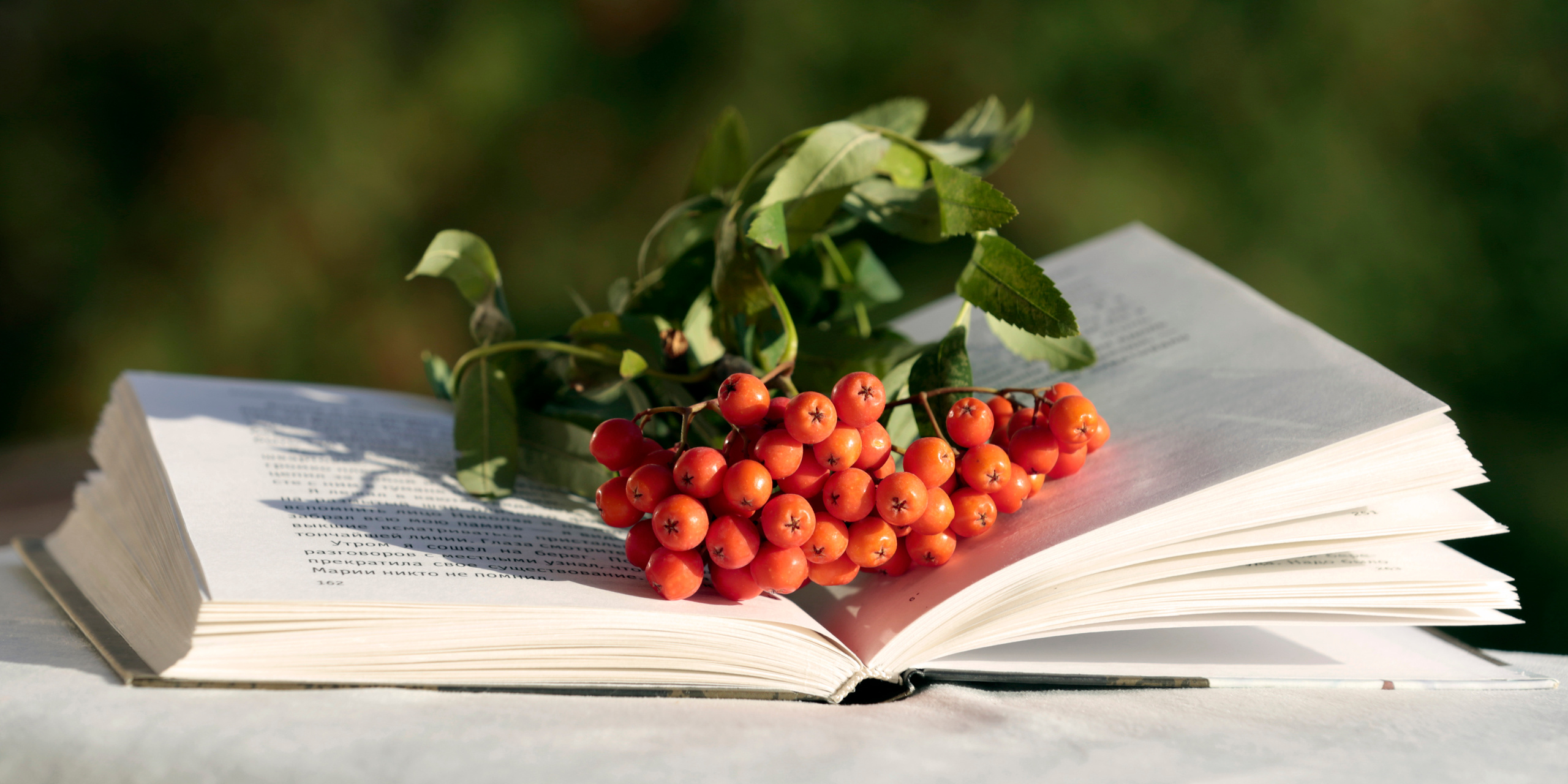 ВЫСТАВКИ. Фотограф Роман Торбеев