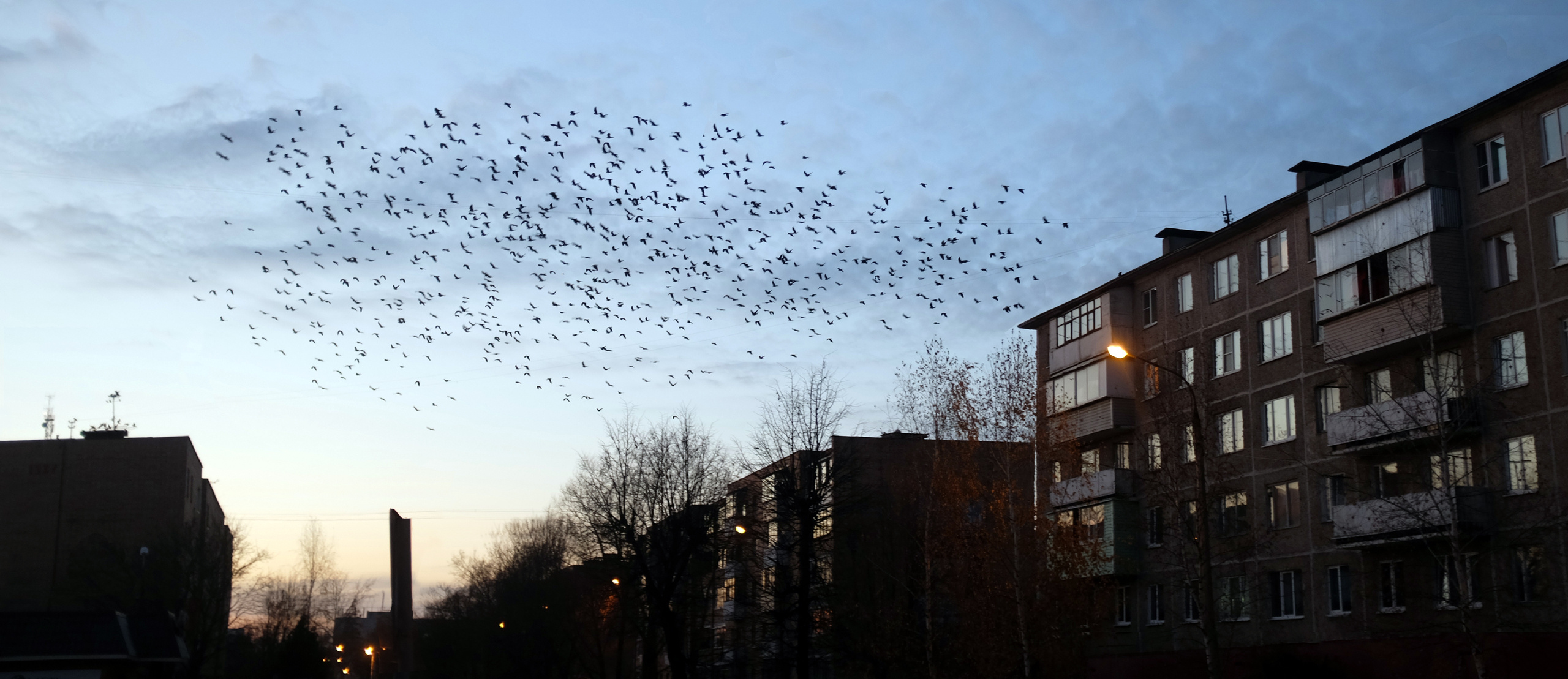 ВЫСТАВКИ. Фотограф Роман Торбеев