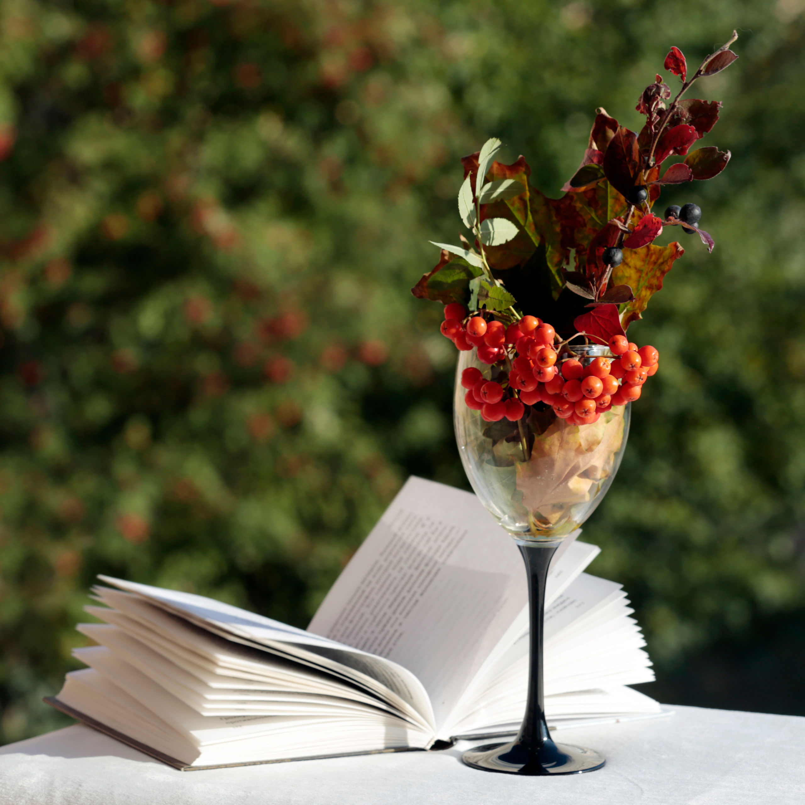 ВЫСТАВКИ. Фотограф Роман Торбеев