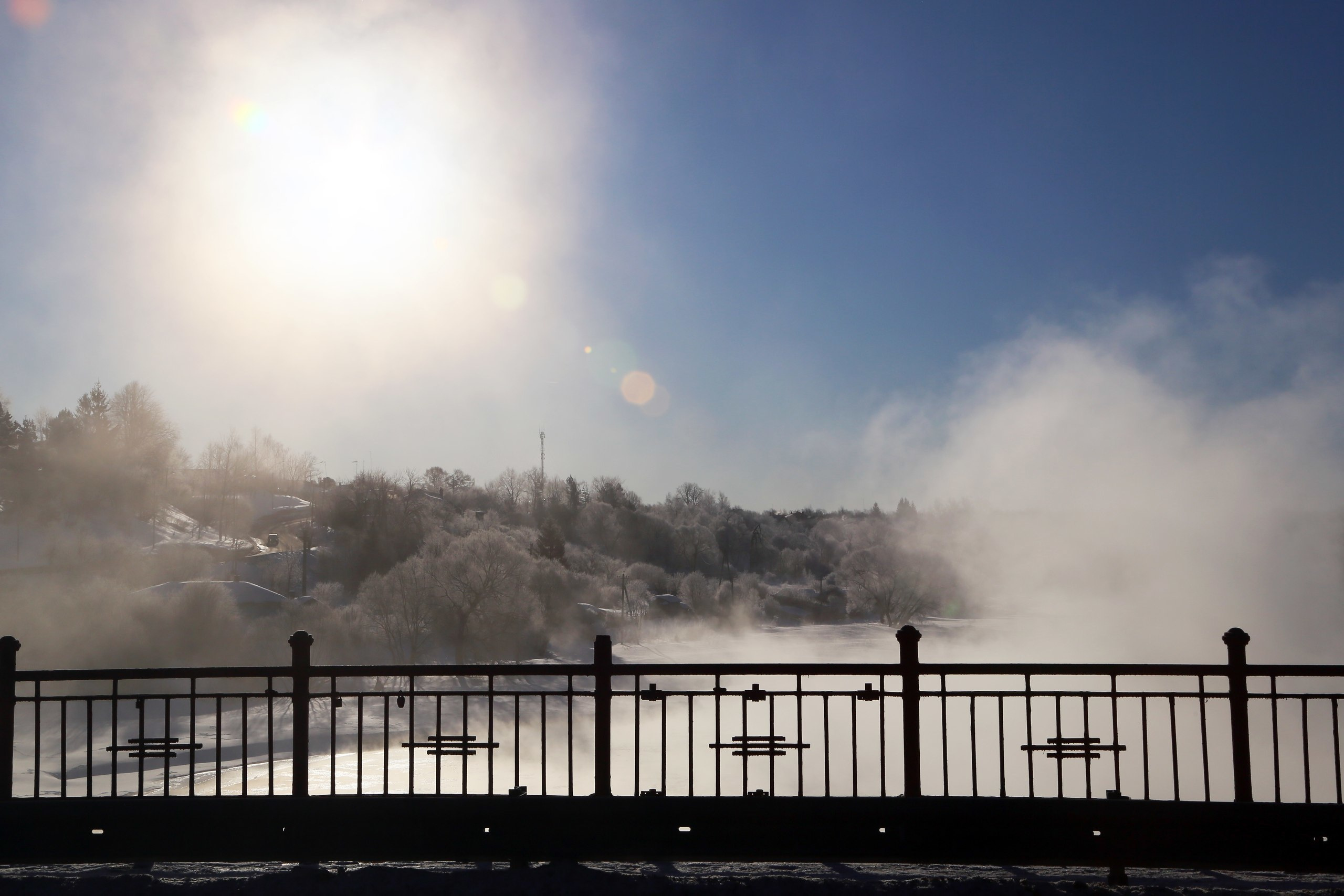 ВЫСТАВКИ. Фотограф Роман Торбеев