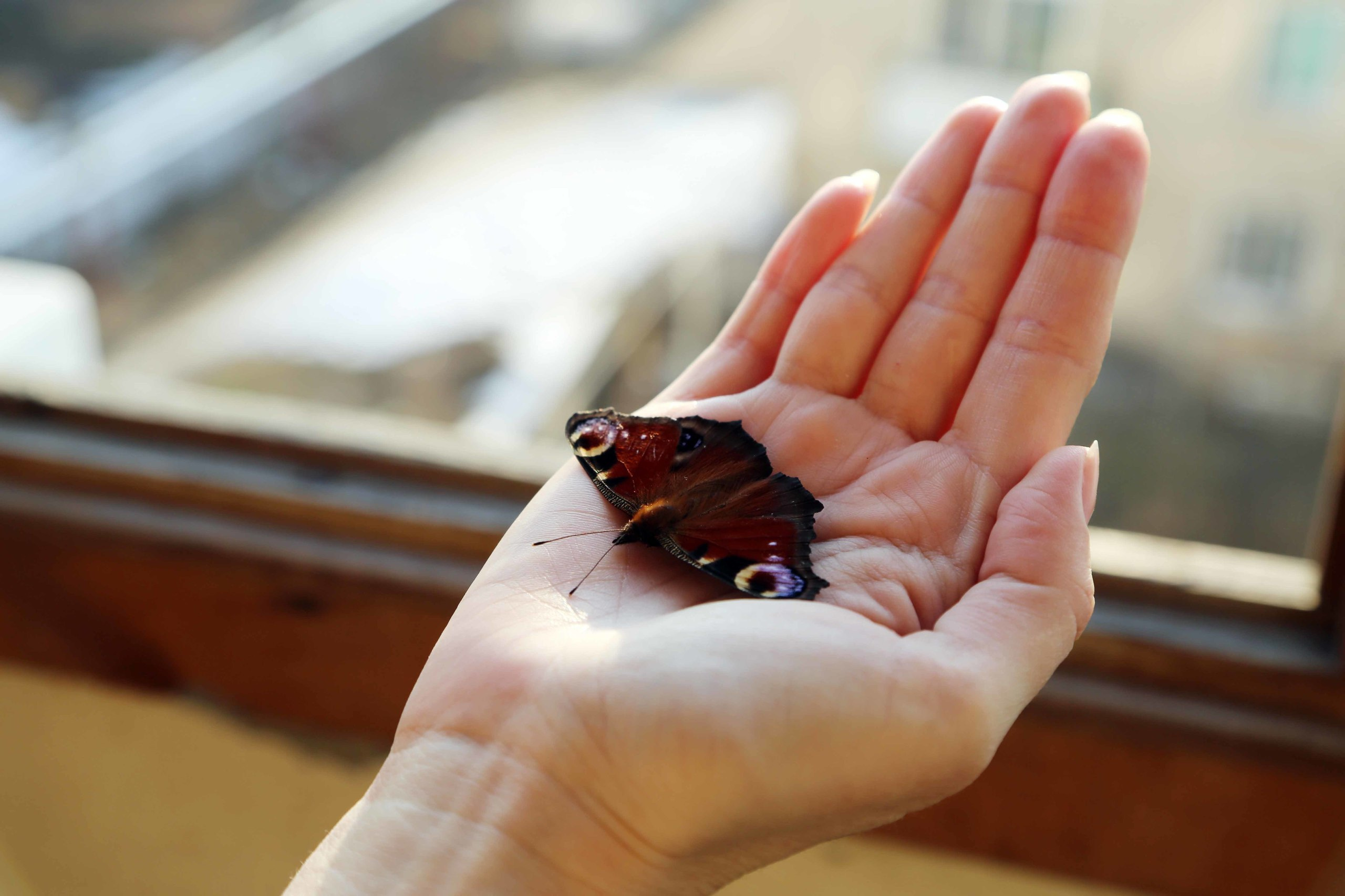 ВЫСТАВКИ. Фотограф Роман Торбеев
