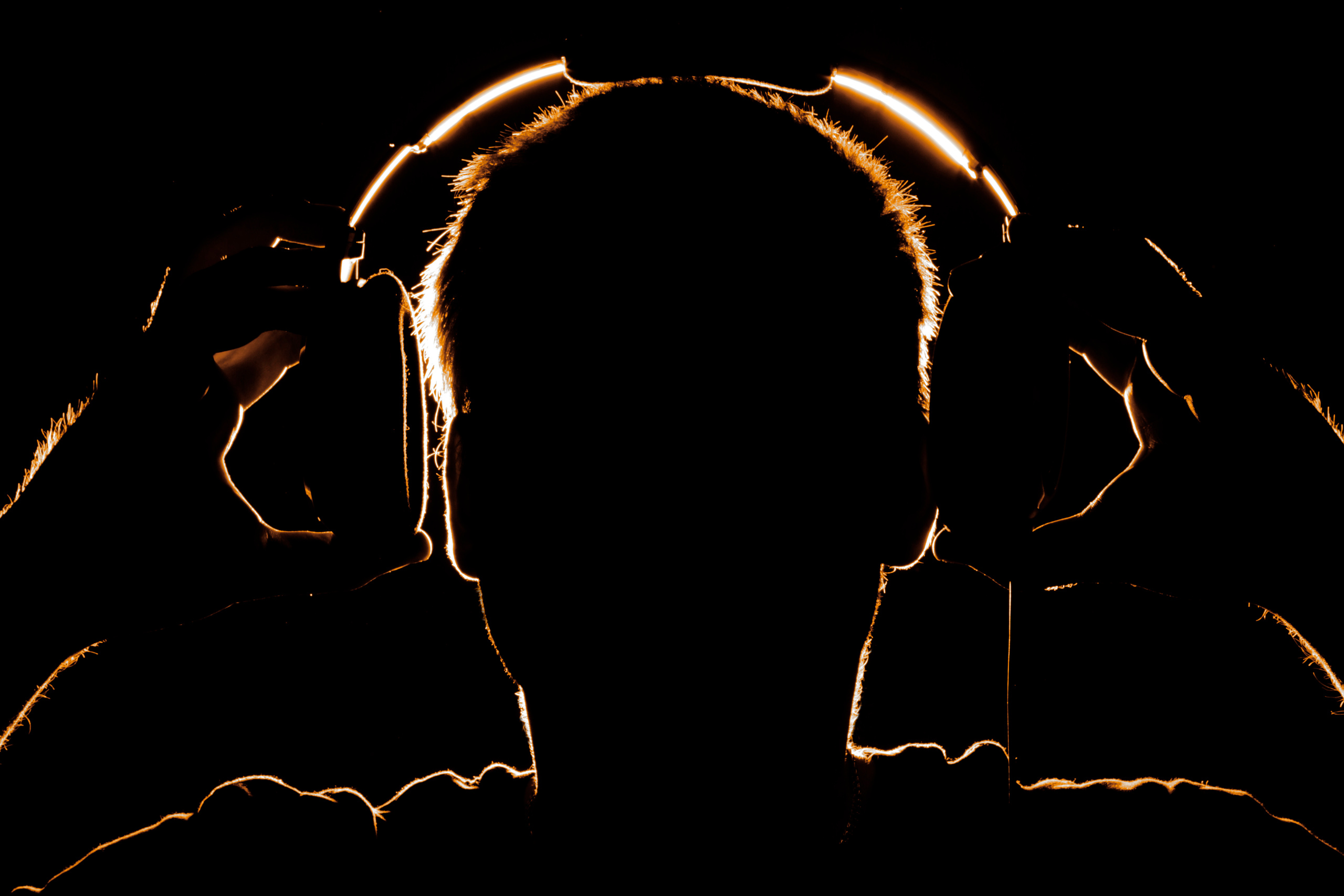 ВЫСТАВКИ. Фотограф Роман Торбеев