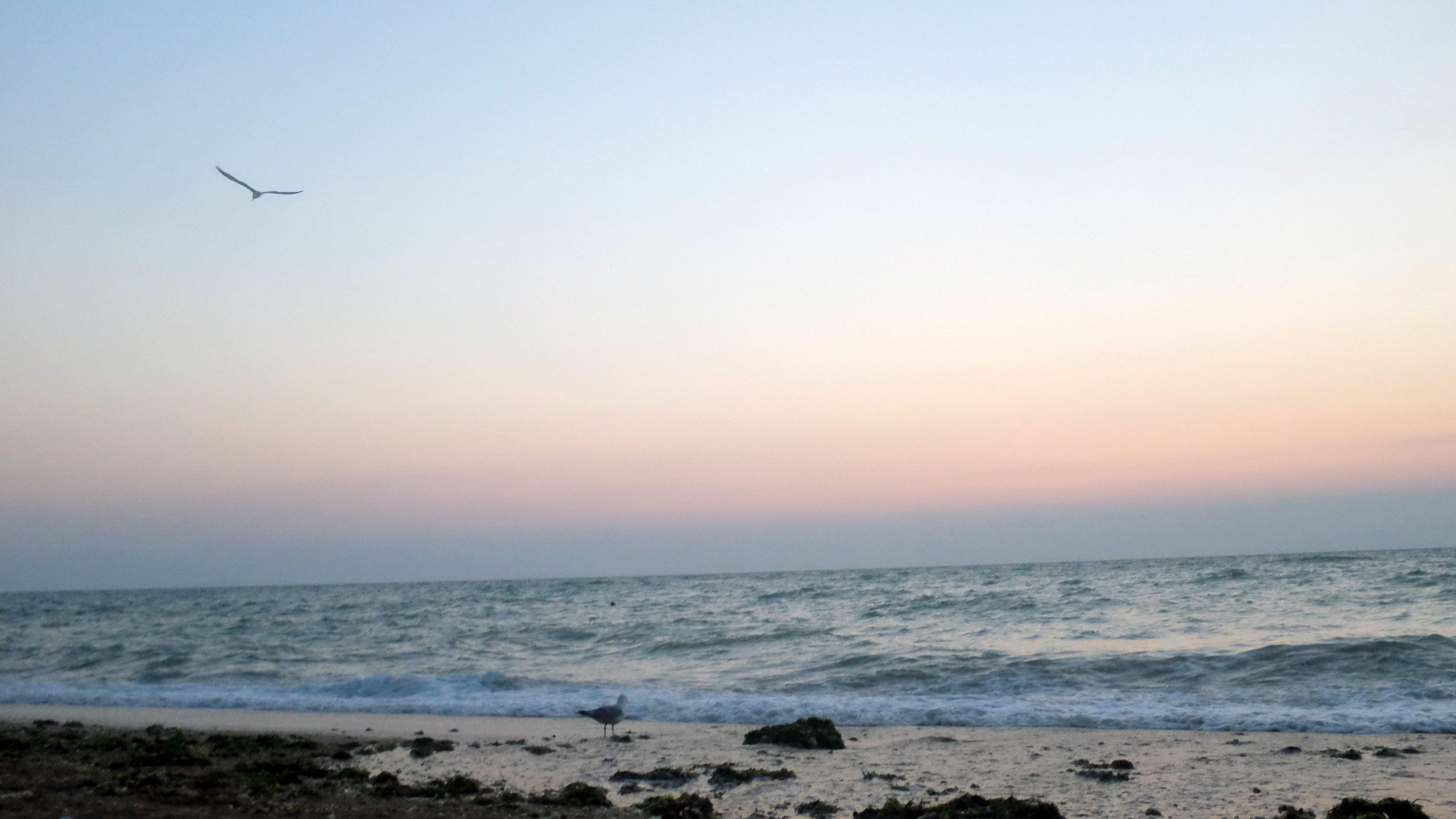 ВЫСТАВКИ. Фотограф Роман Торбеев