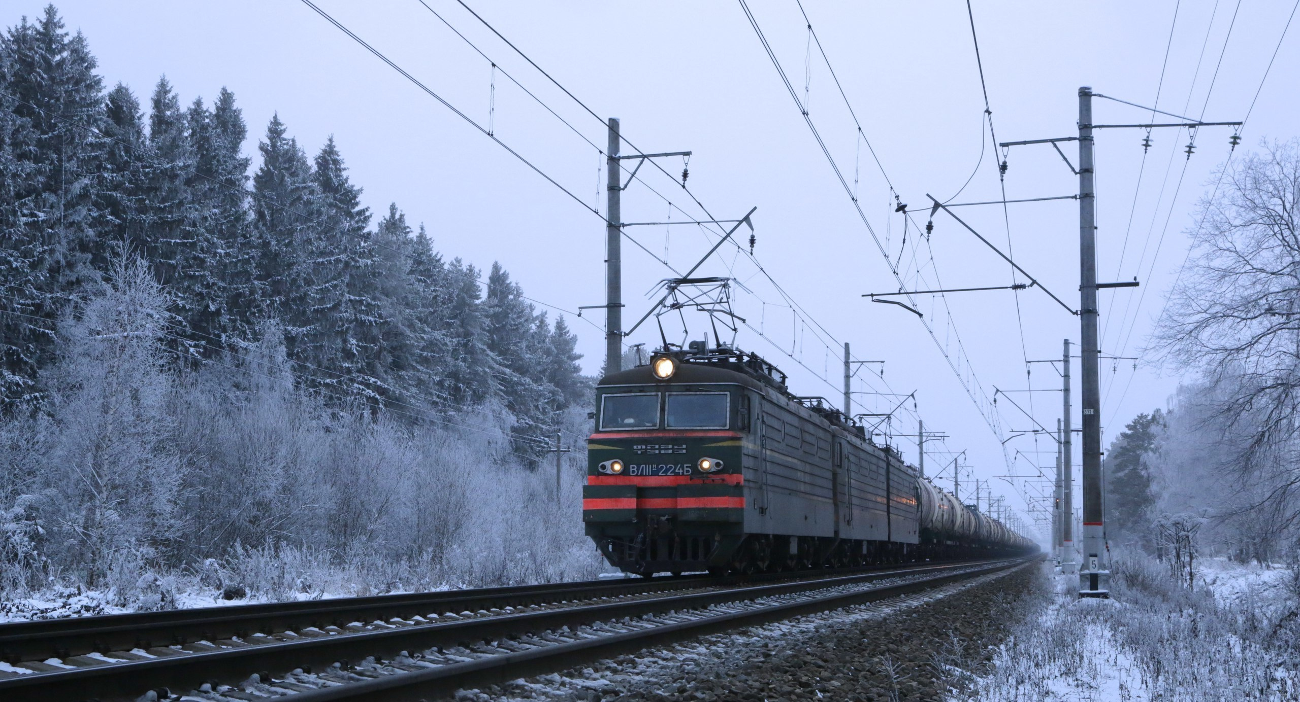 ВЫСТАВКИ. Фотограф Роман Торбеев