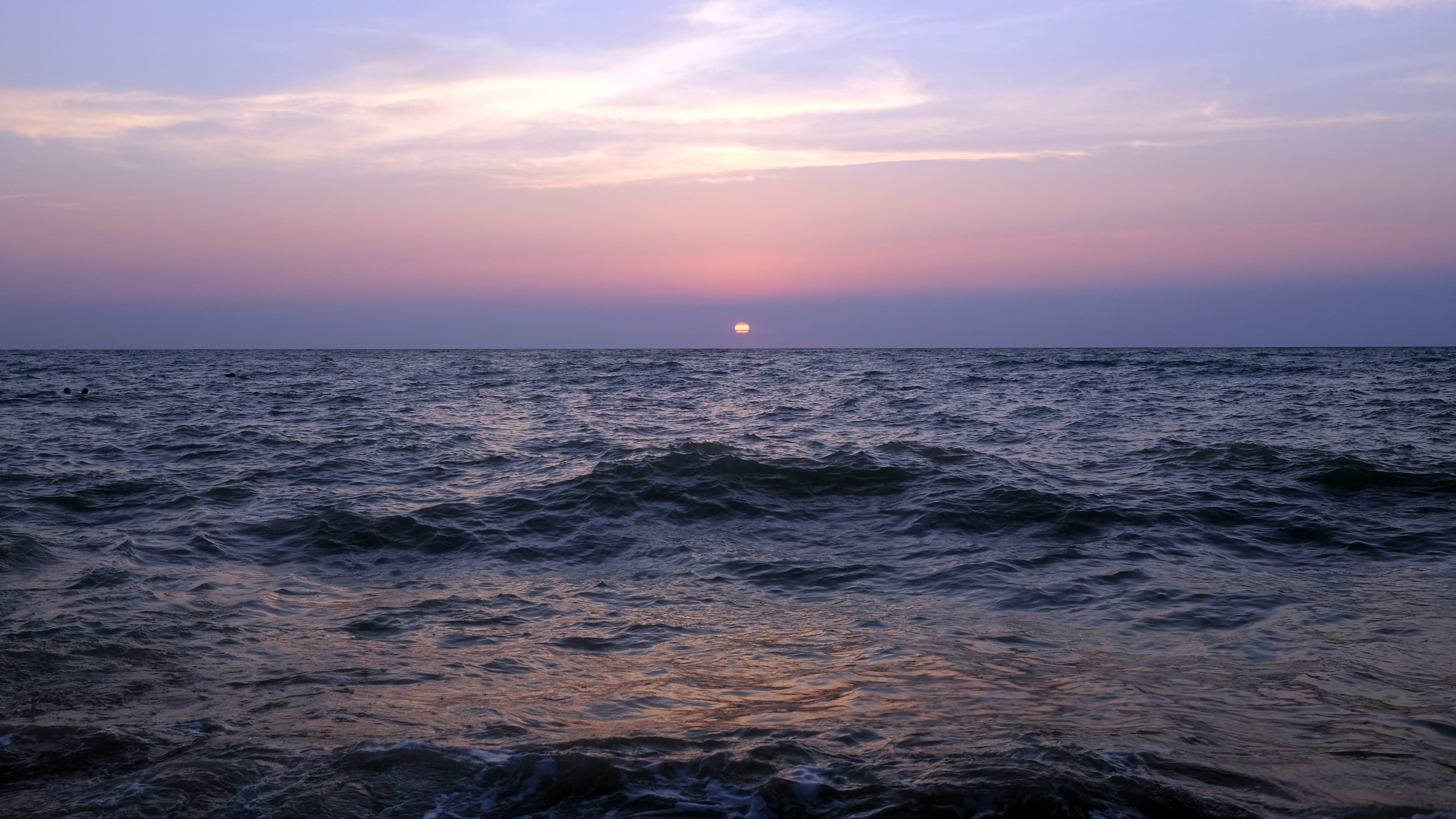 ВЫСТАВКИ. Фотограф Роман Торбеев