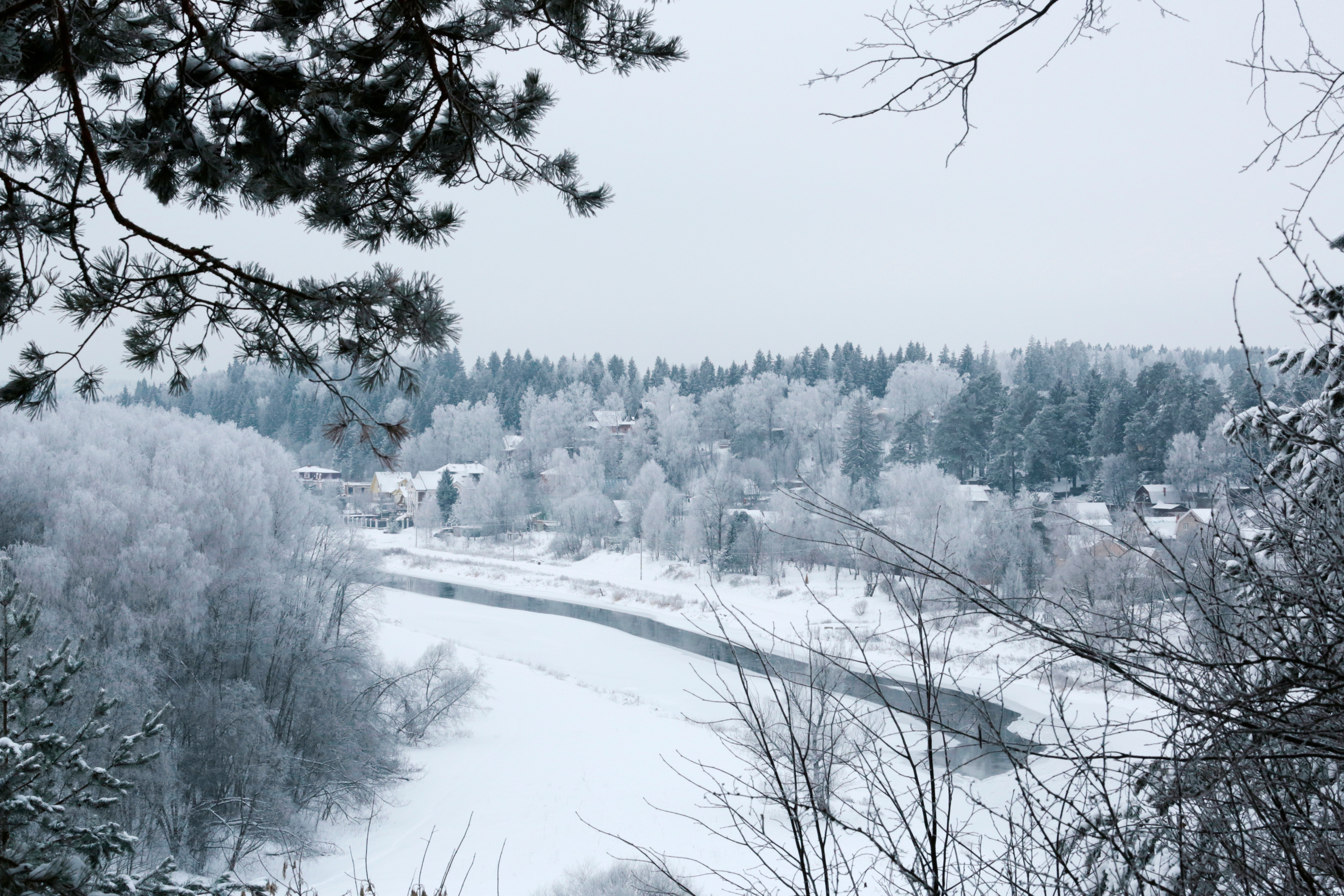 ВЫСТАВКИ. Фотограф Роман Торбеев