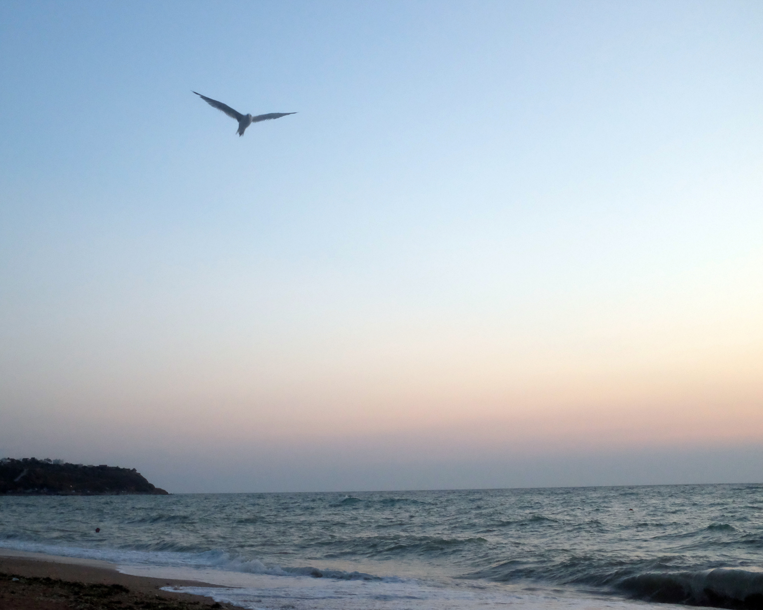 ВЫСТАВКИ. Фотограф Роман Торбеев