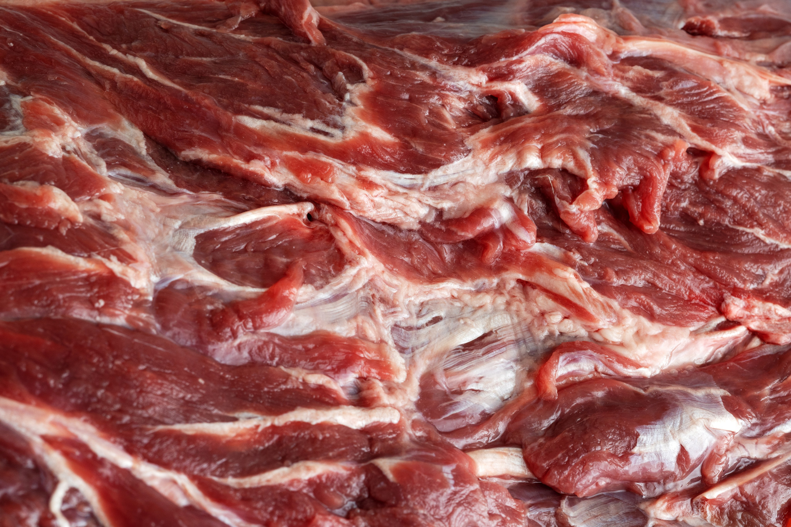 Мясо. Портретная и индивидуальная фотосъёмка в Граце и Тюмени