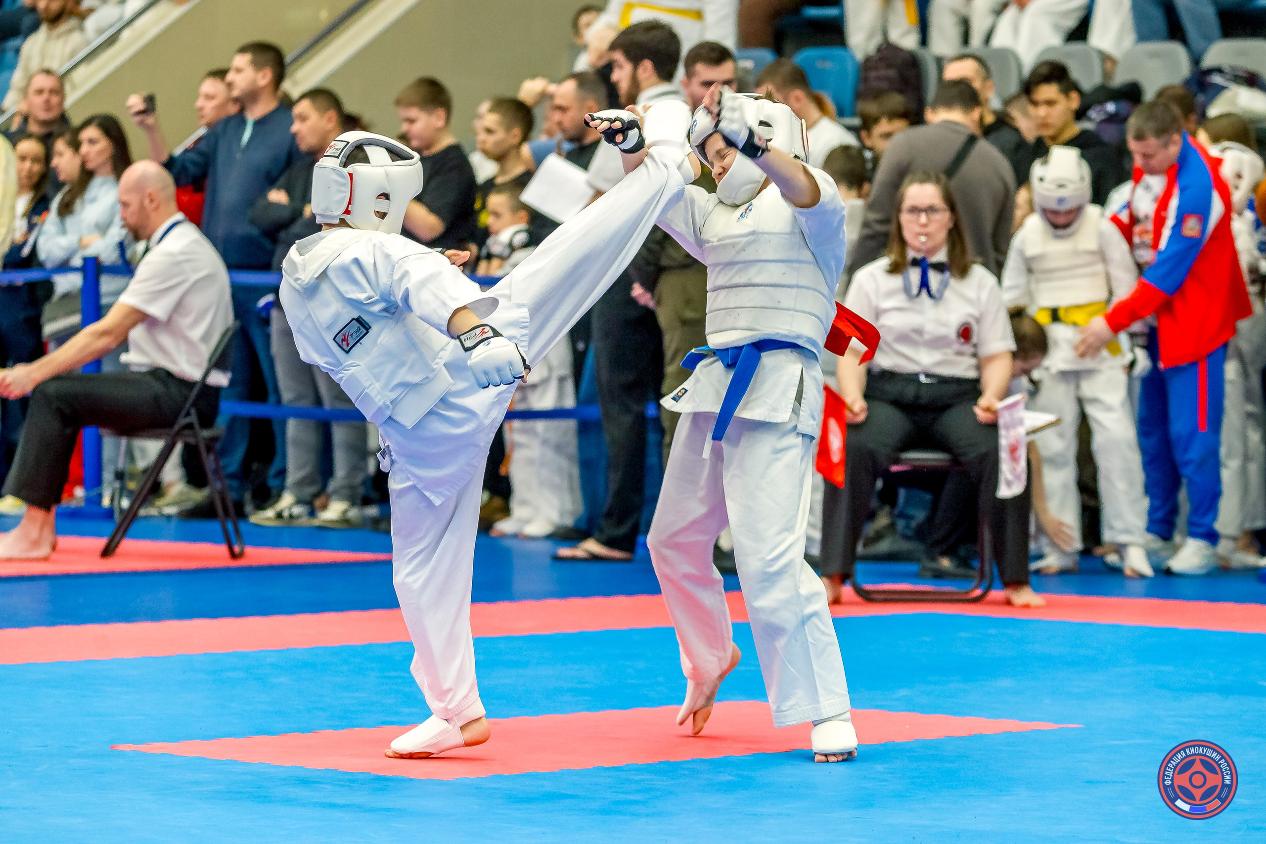 Международный турнир по киокушин «Открытый кубок Seiken». Репортажная съемка в Москве и области. Анималистика