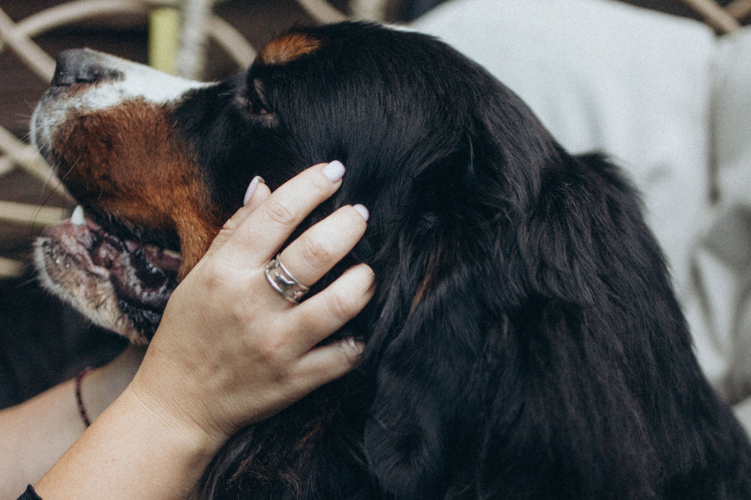 Таня и Тери