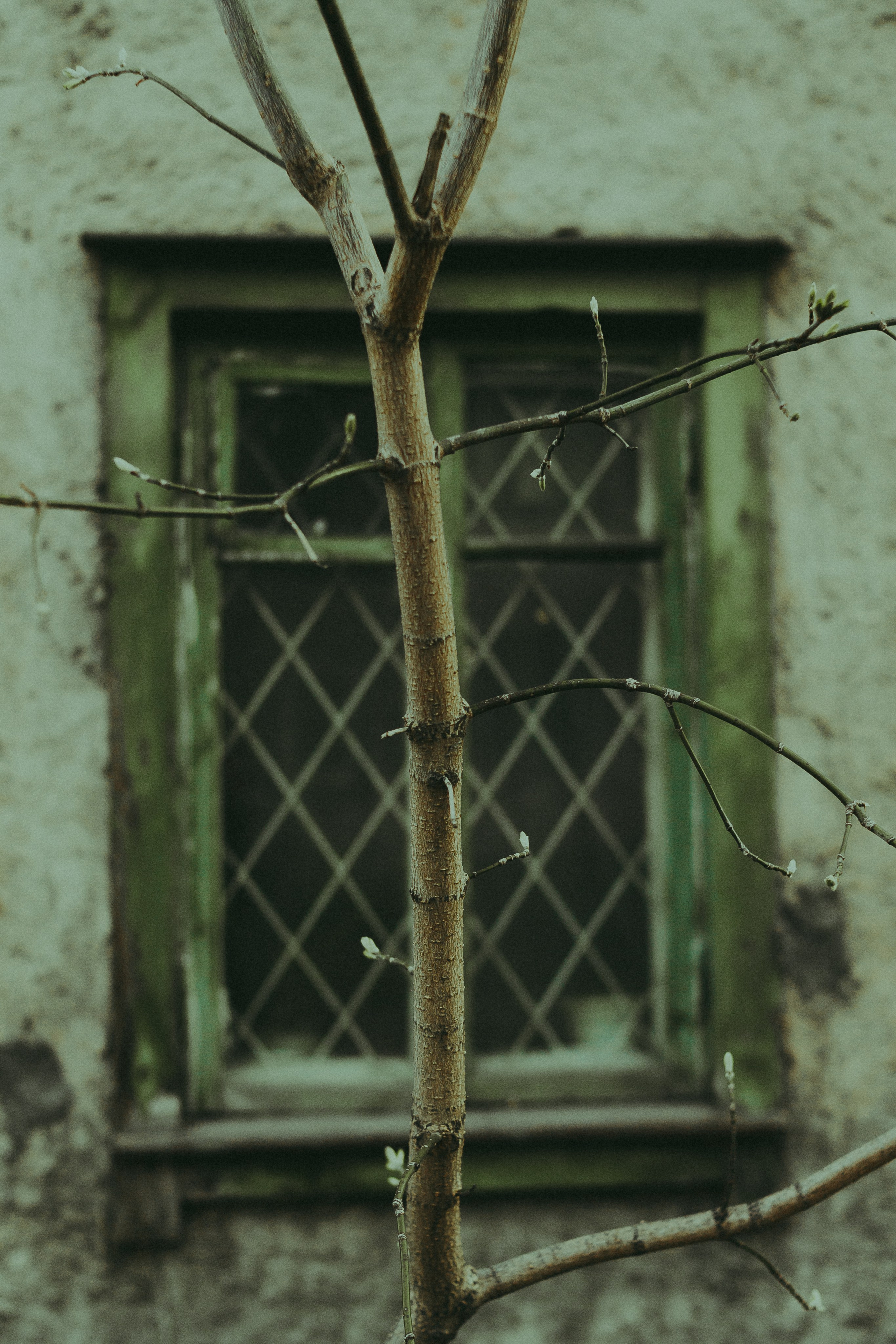 Дарья. Борщевская Елизавета / фотограф Иркутск