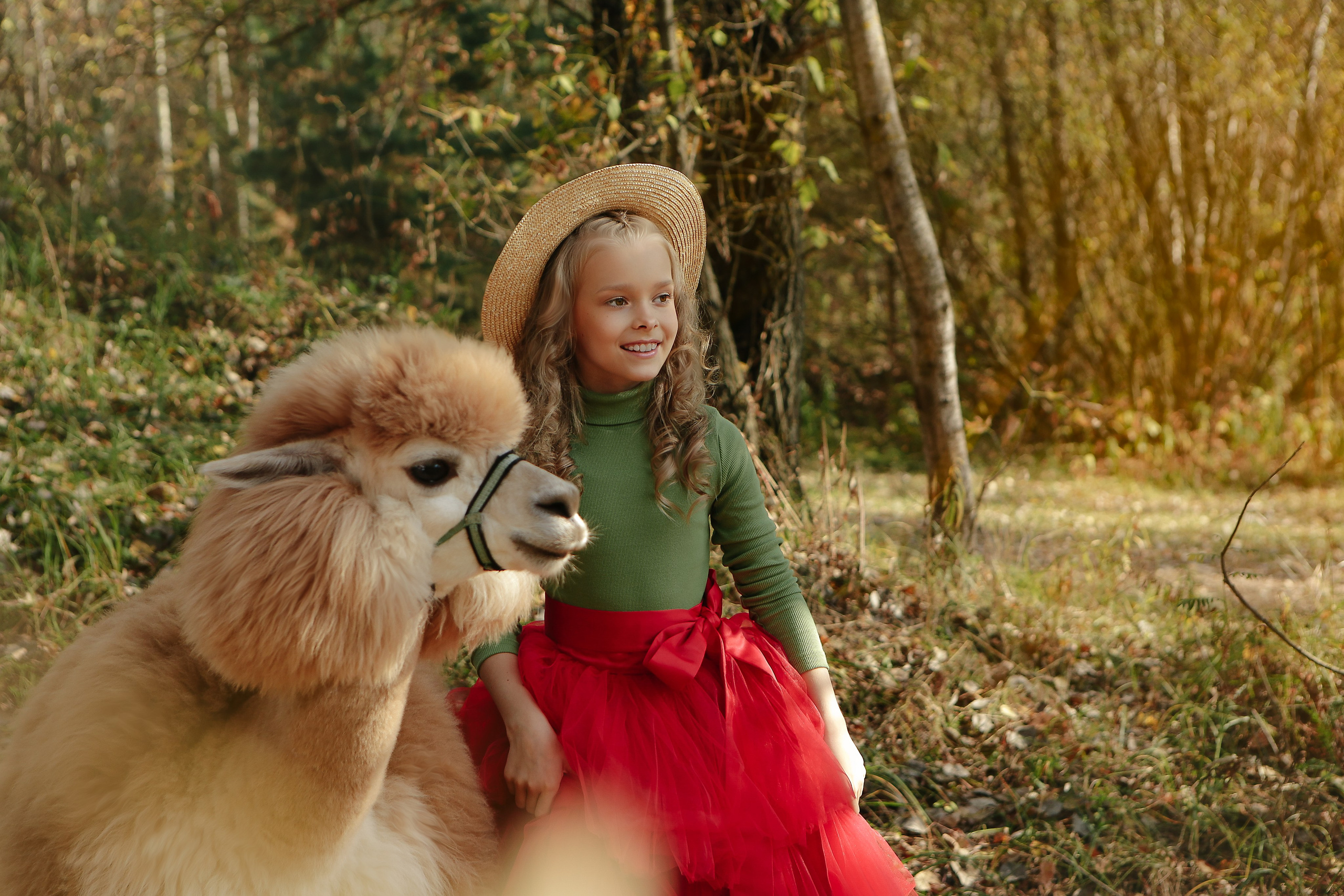 Альпаки. Семейный и детский фотограф в Москве Александра Мак