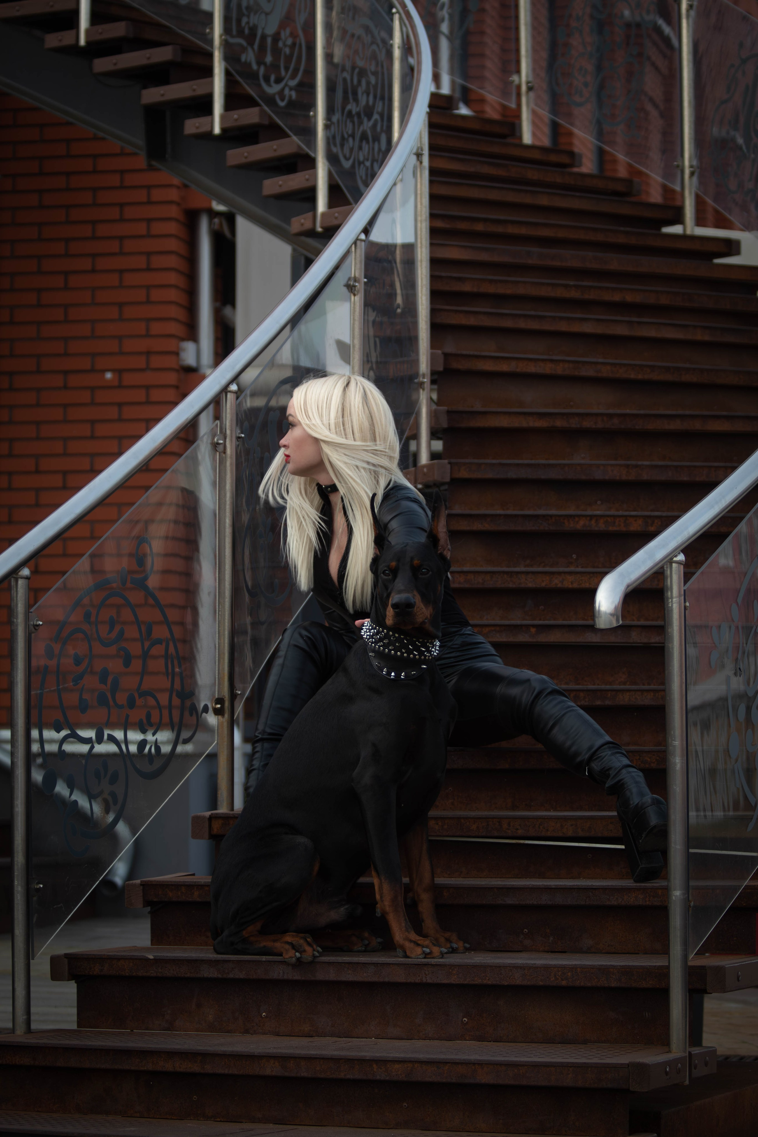 Фотосессии с животными Тула. Фотограф анималист — Тула, Москва