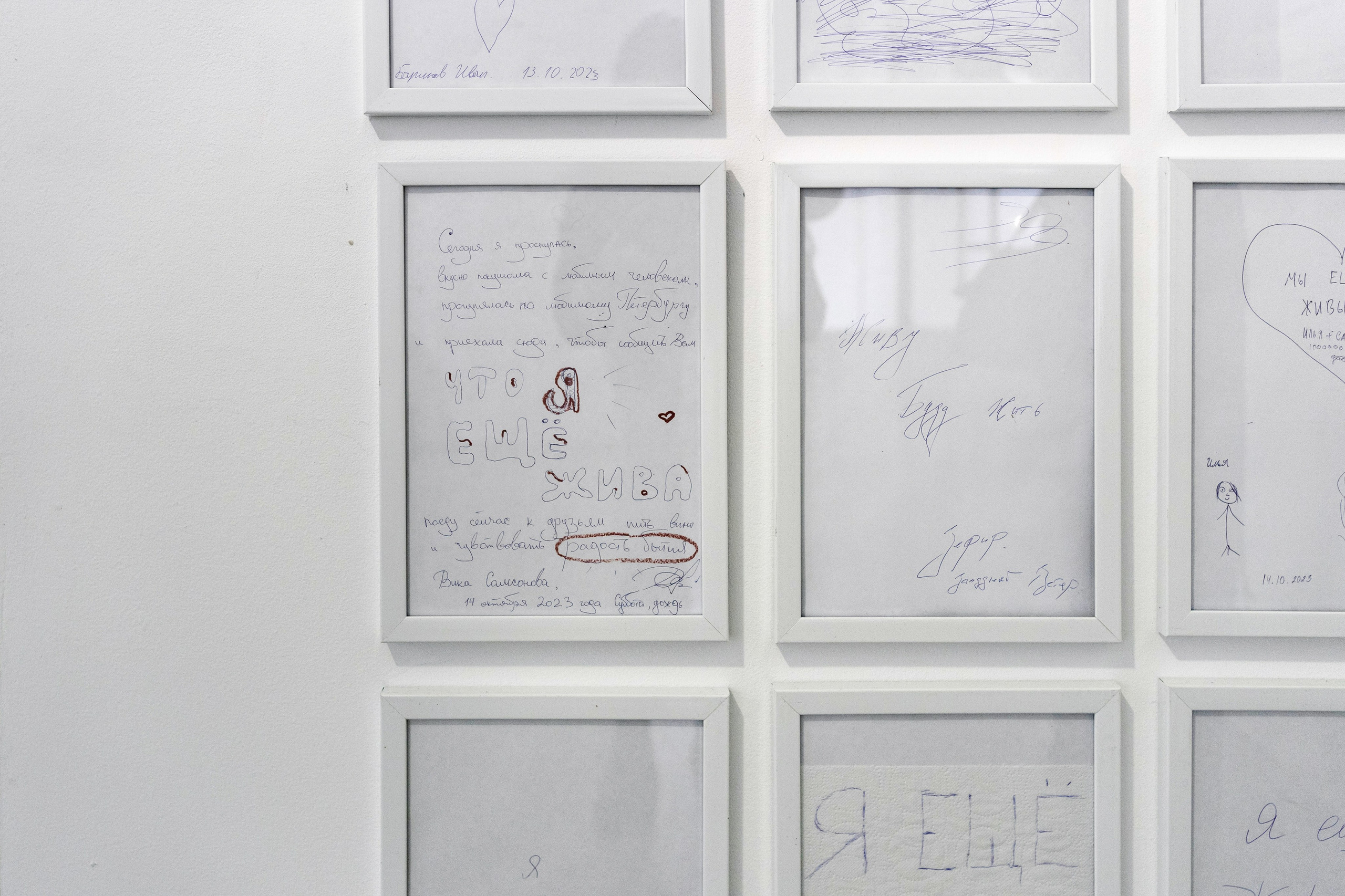 Выставки. Коммерческий фотограф в Санкт-Петербурге Ксения Максимова