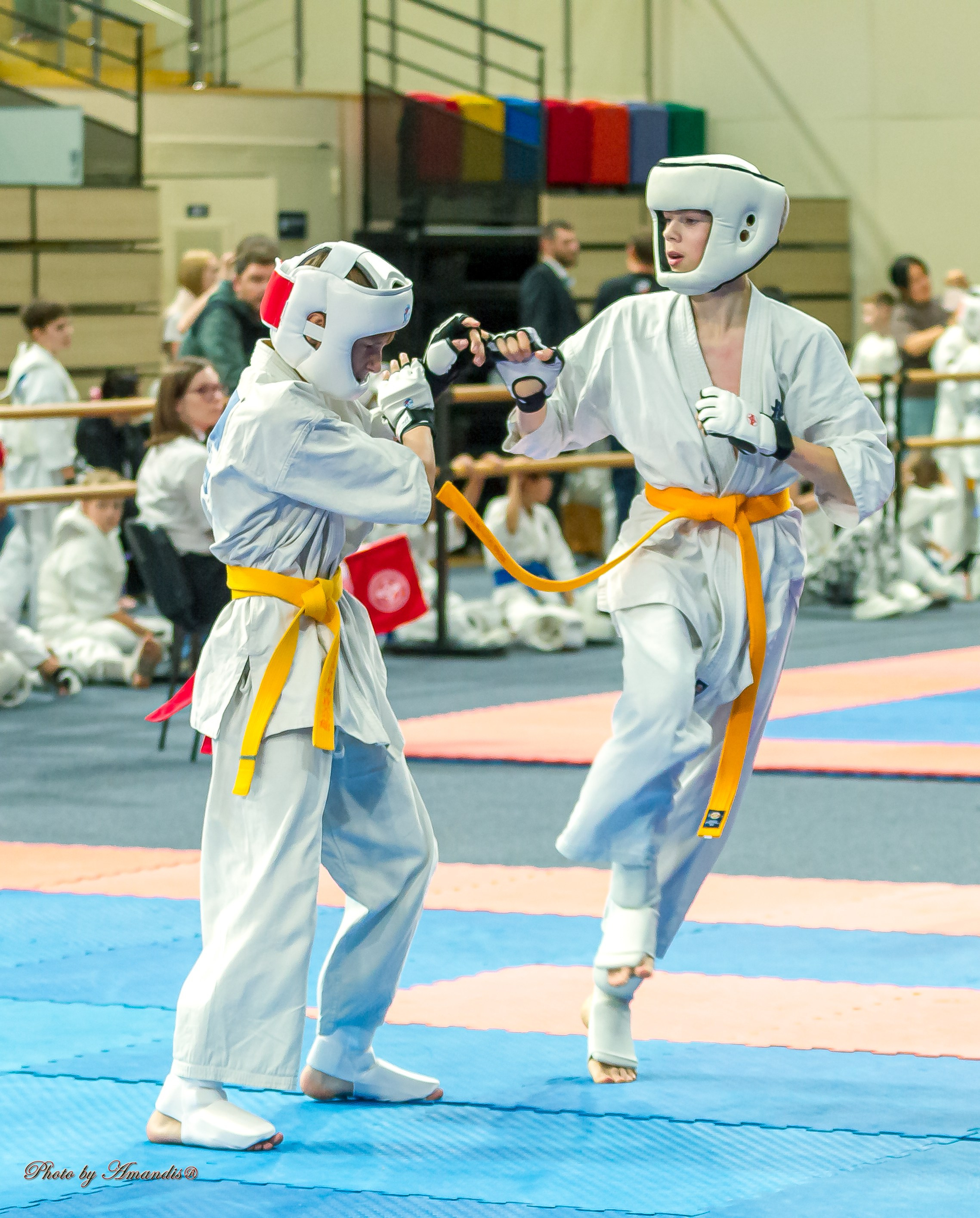 Первенство Московской области по Киокушин в СК «Жаворонки». Репортажная съемка в Москве и области. Анималистика