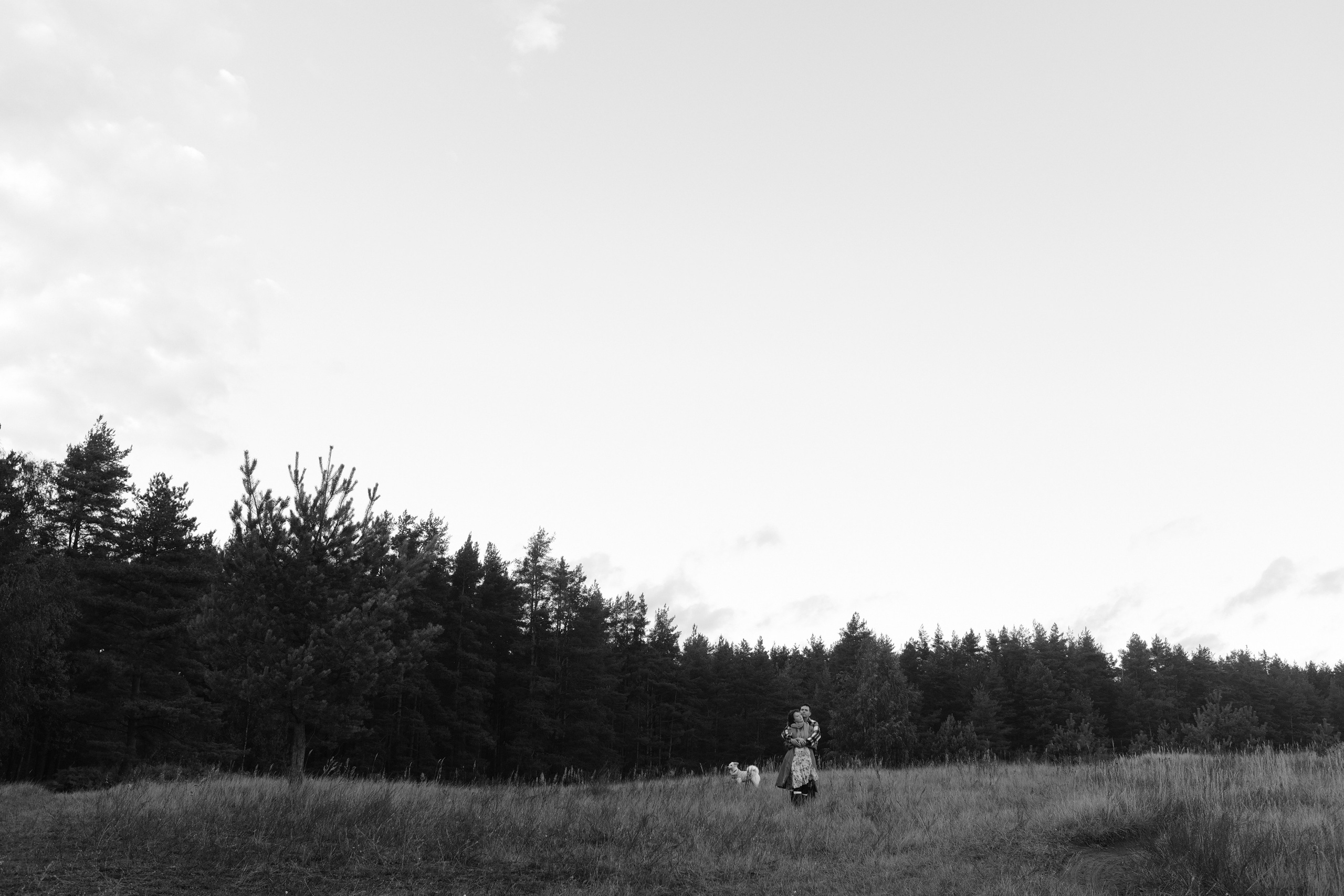 Трое, считая собаку. Wed Photographers 📷 Saint Petersburg