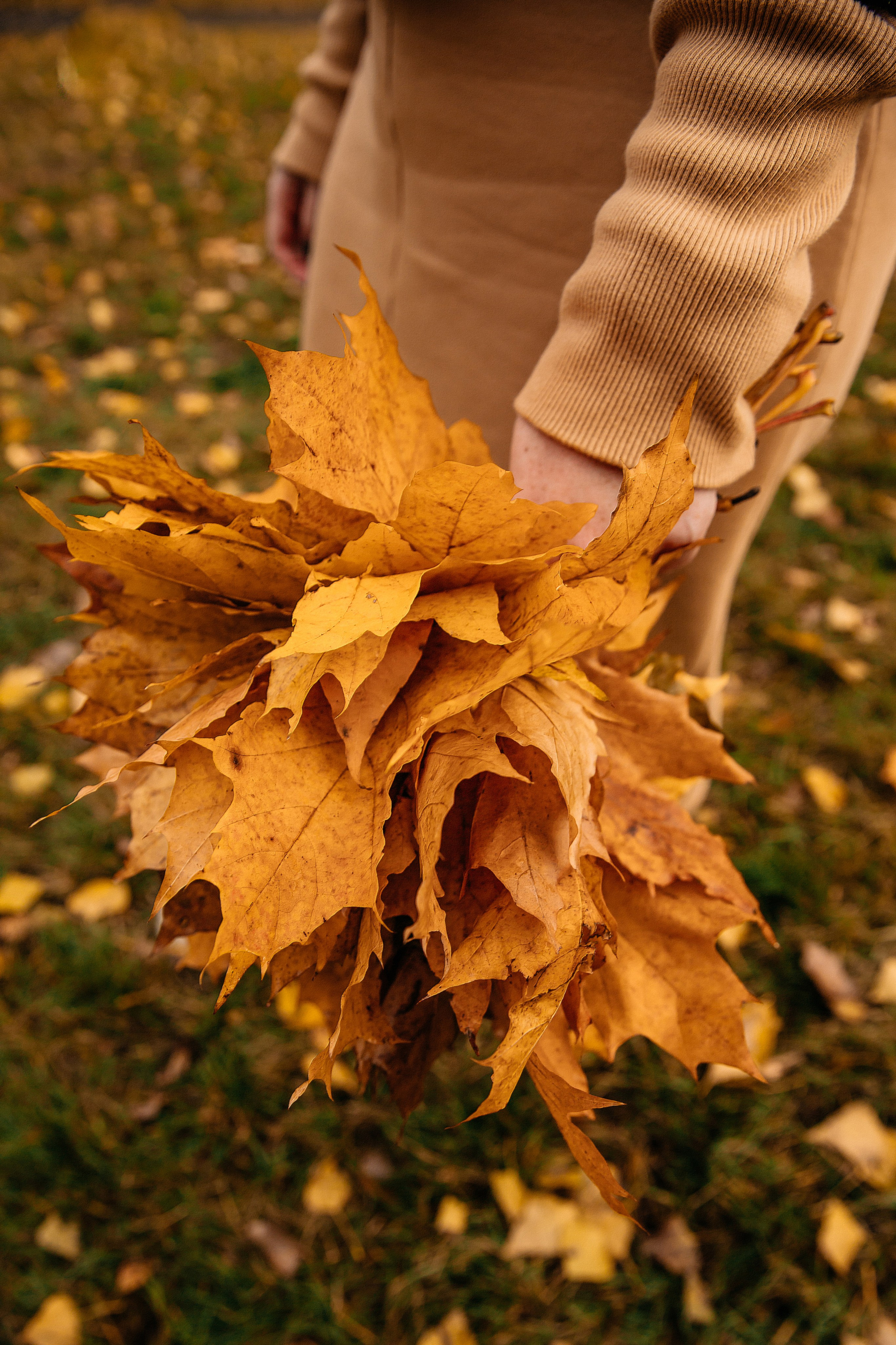 Мария, Павел, Даша, Арина и Миша — семейная фотосессия. Семейный и свадебный фотограф Минск, Барановичи Ольга Пахомова