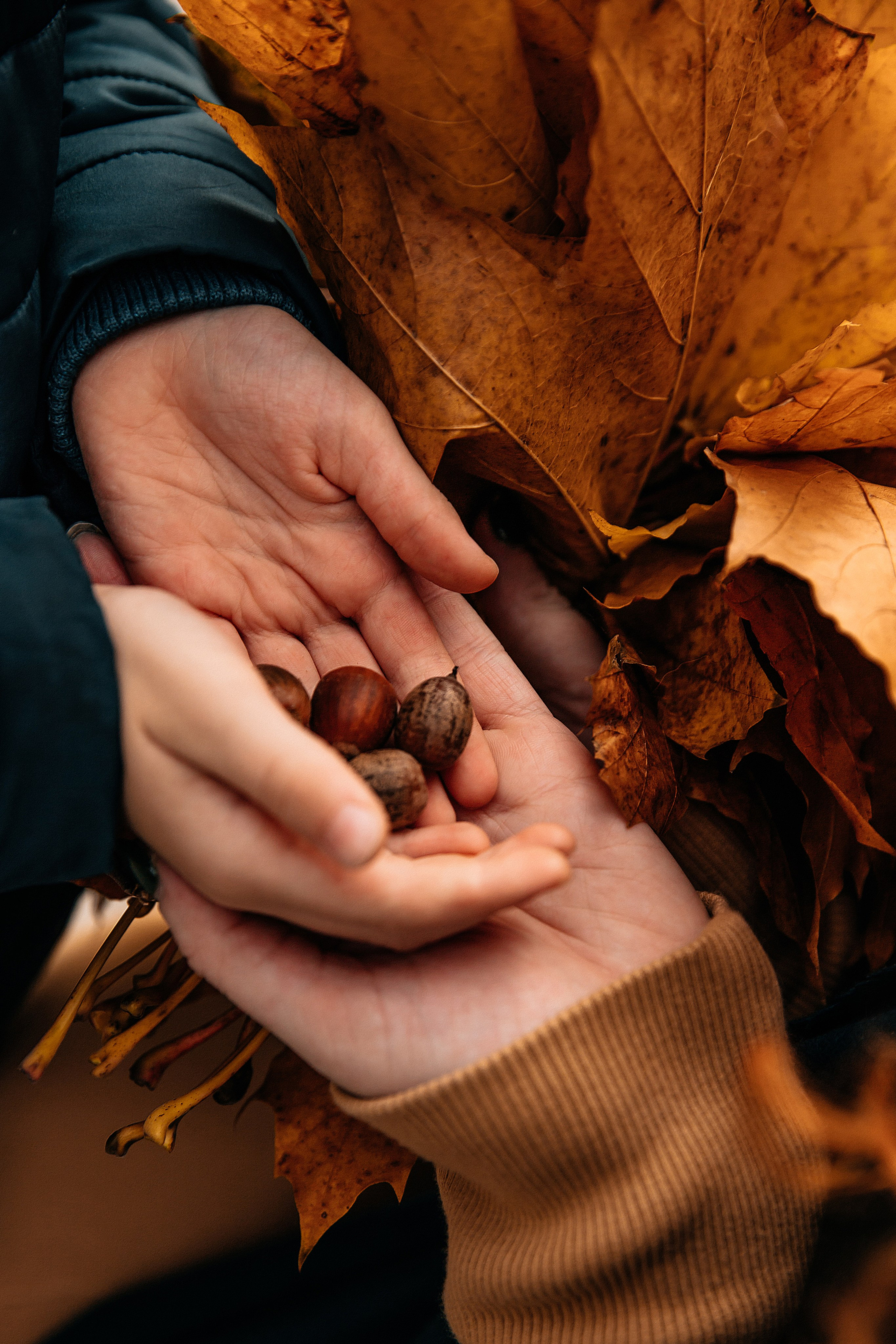 Мария, Павел, Даша, Арина и Миша — семейная фотосессия. Семейный и свадебный фотограф Минск, Барановичи Ольга Пахомова