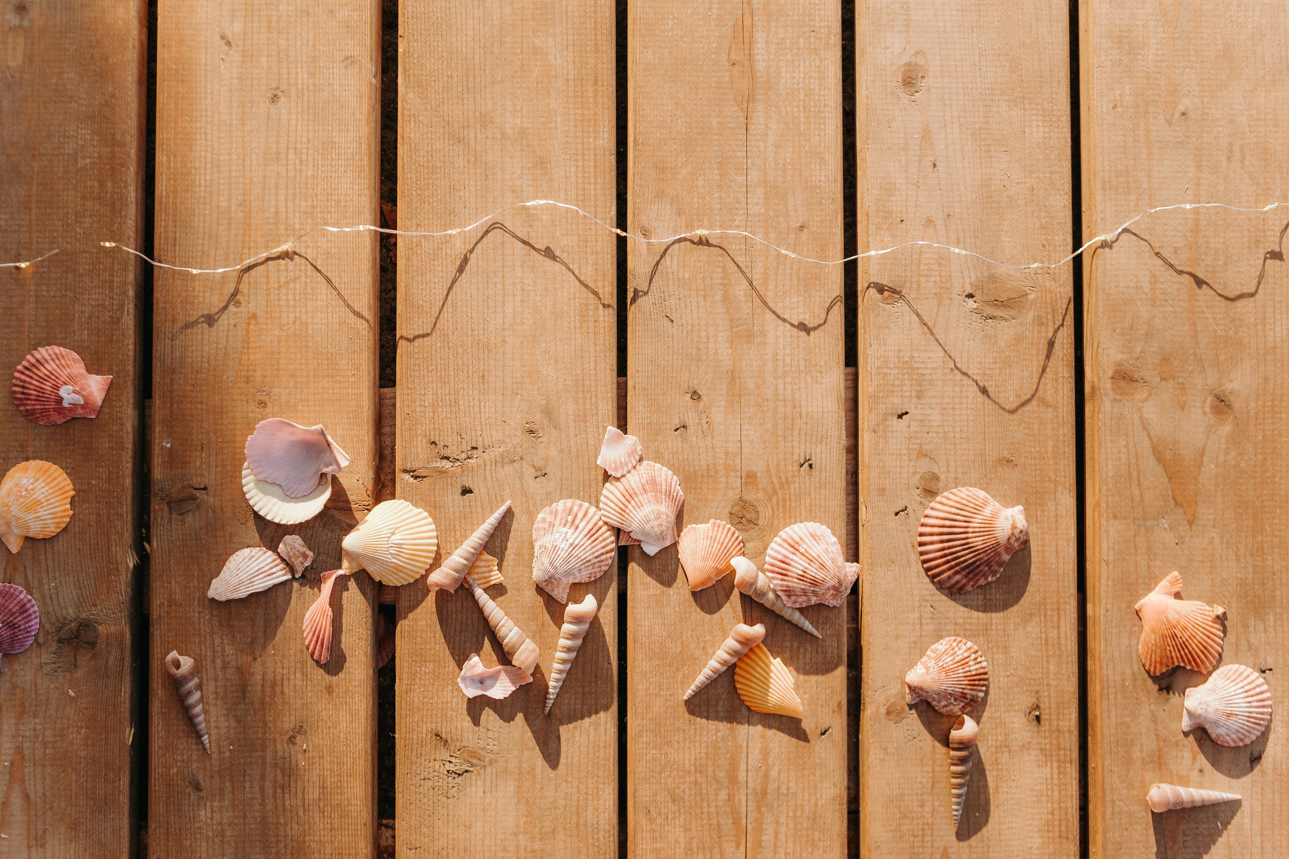 Crazy in love. Свадебный и семейный фотограф Арина Кулёва