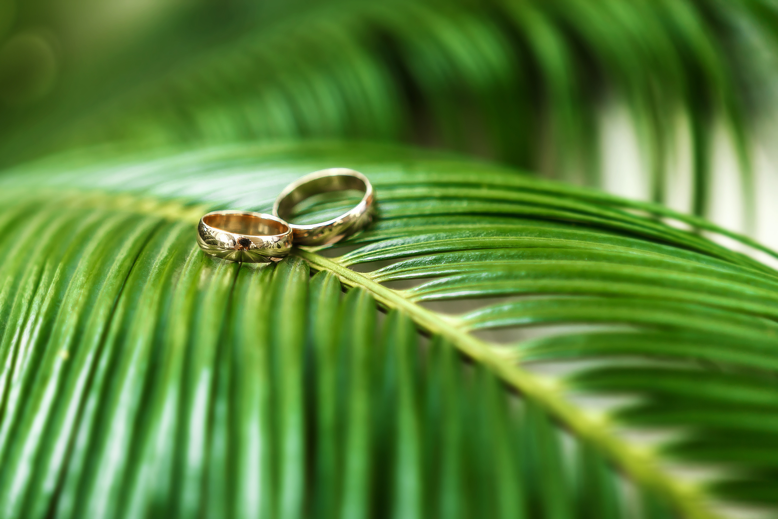 Екатерина&Игорь | 2018. Фотограф в Батуми Павел Шарников