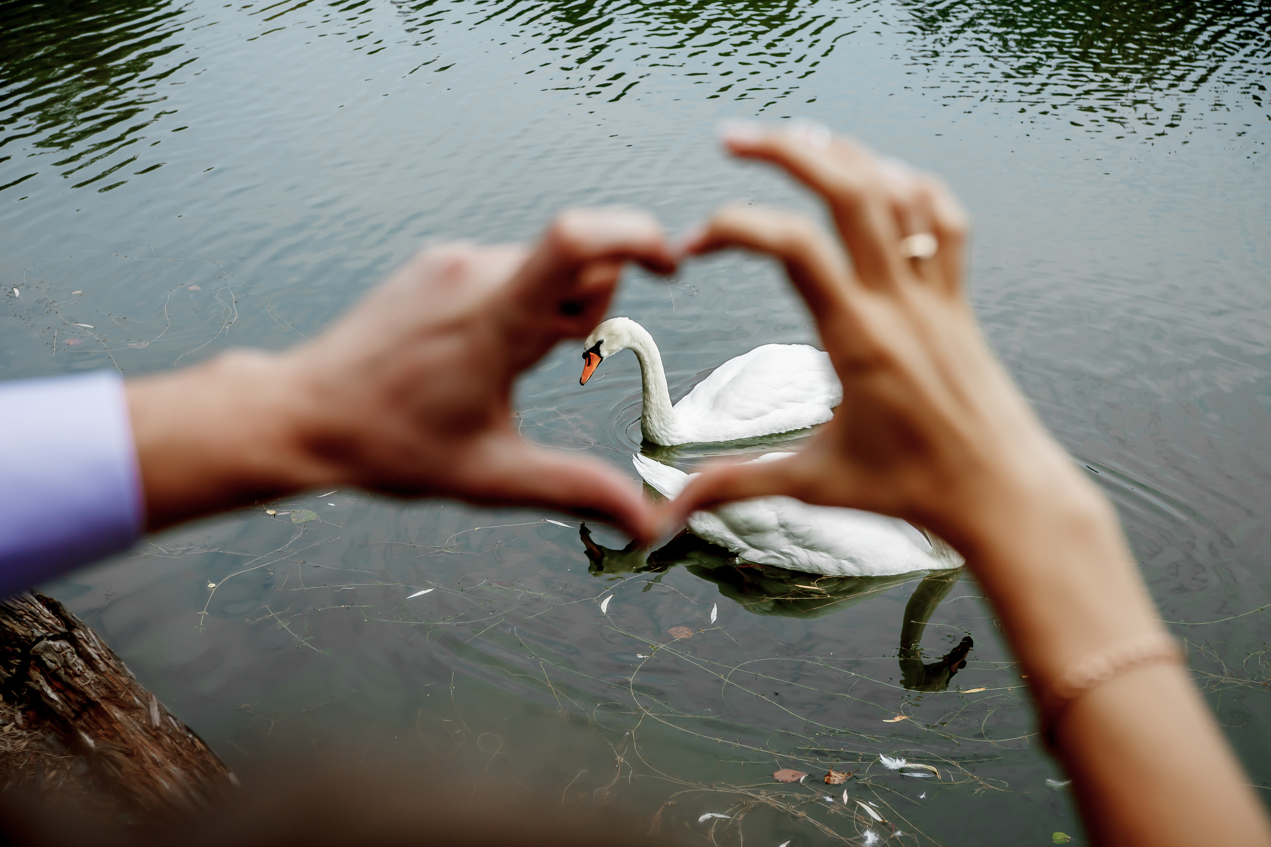 Екатерина&Игорь | 2018. Фотограф в Батуми Павел Шарников