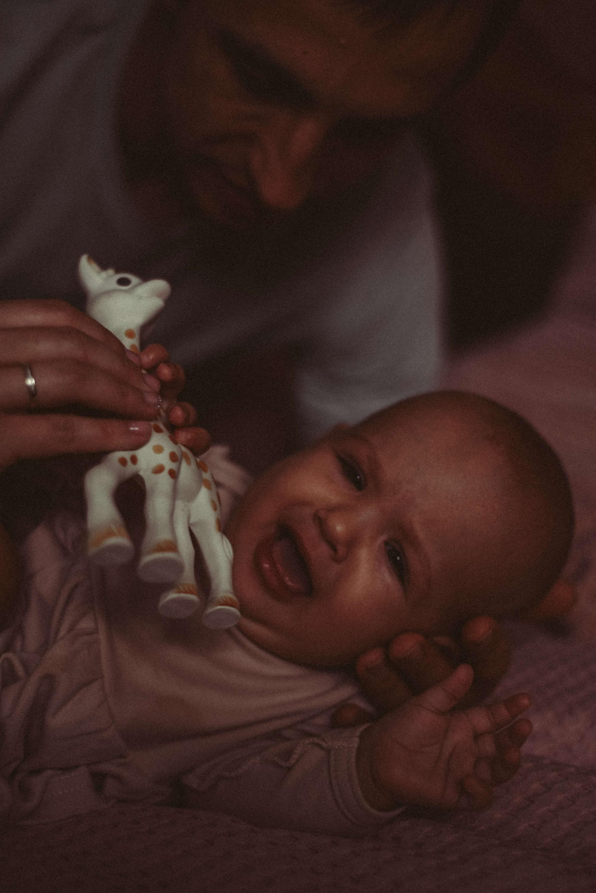 домашняя фотосессия 