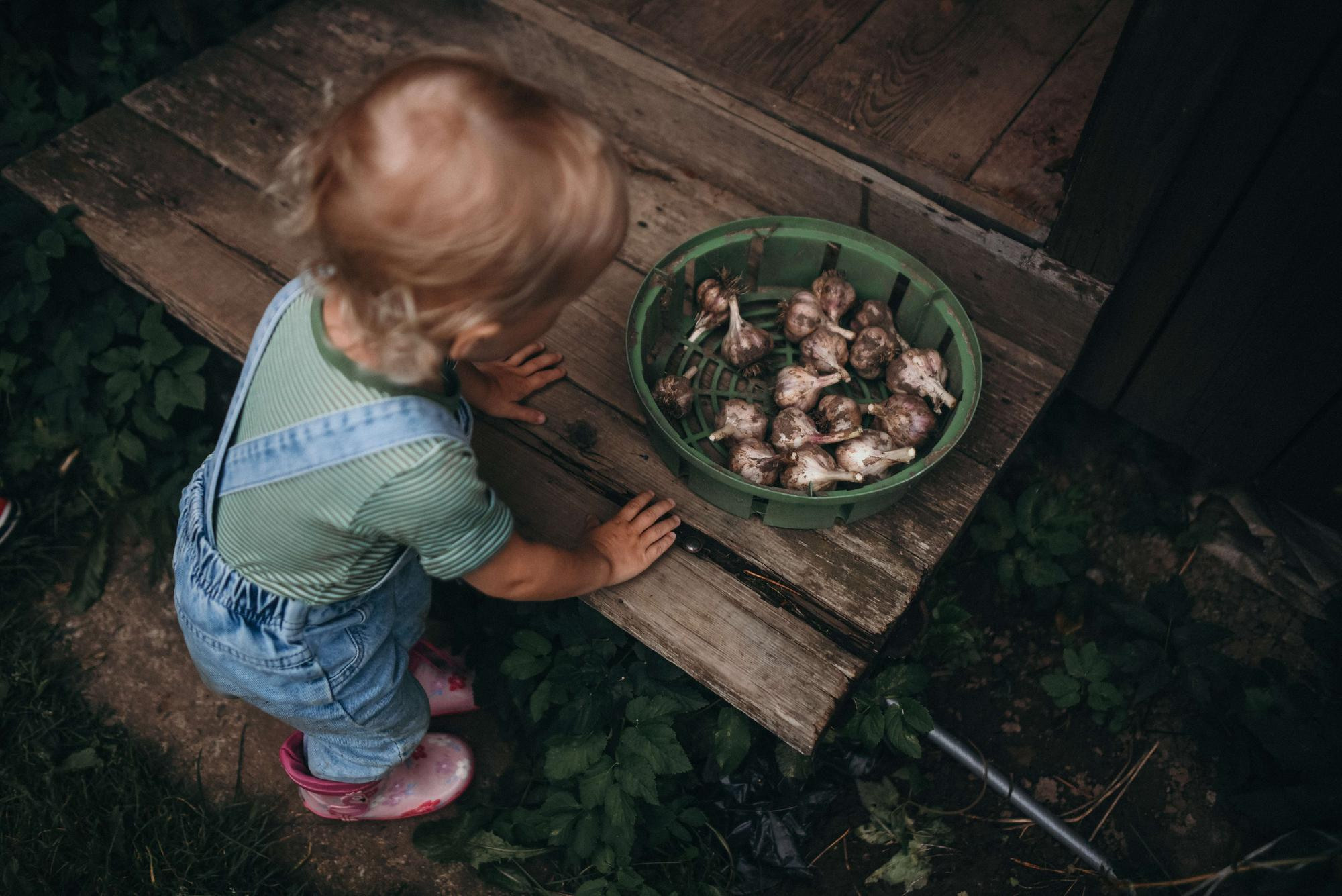 Двойняшки. Семейный и свадебный фотограф в Санкт-Петербурге Яна