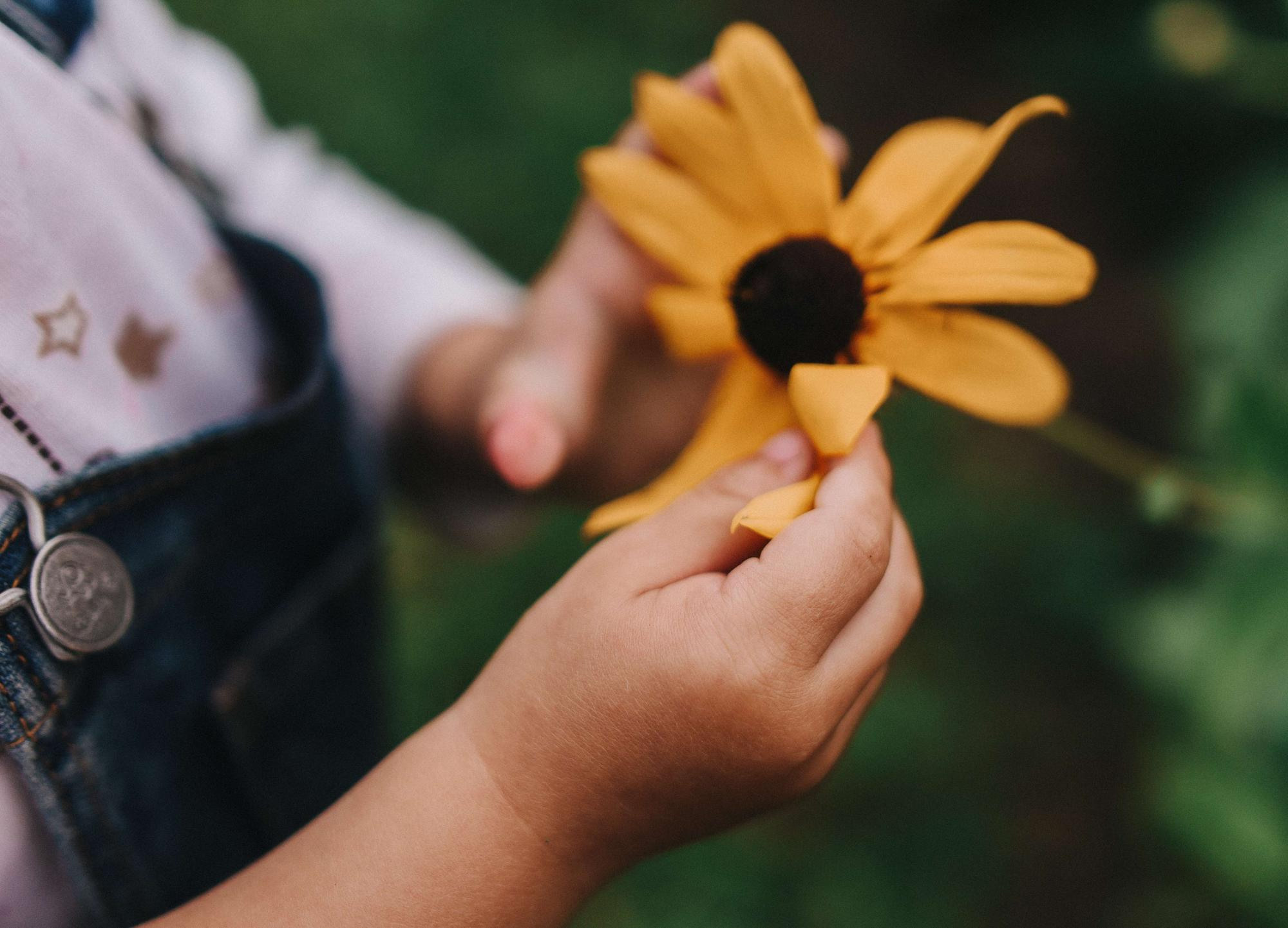 Двойняшки. Семейный и свадебный фотограф в Санкт-Петербурге Яна