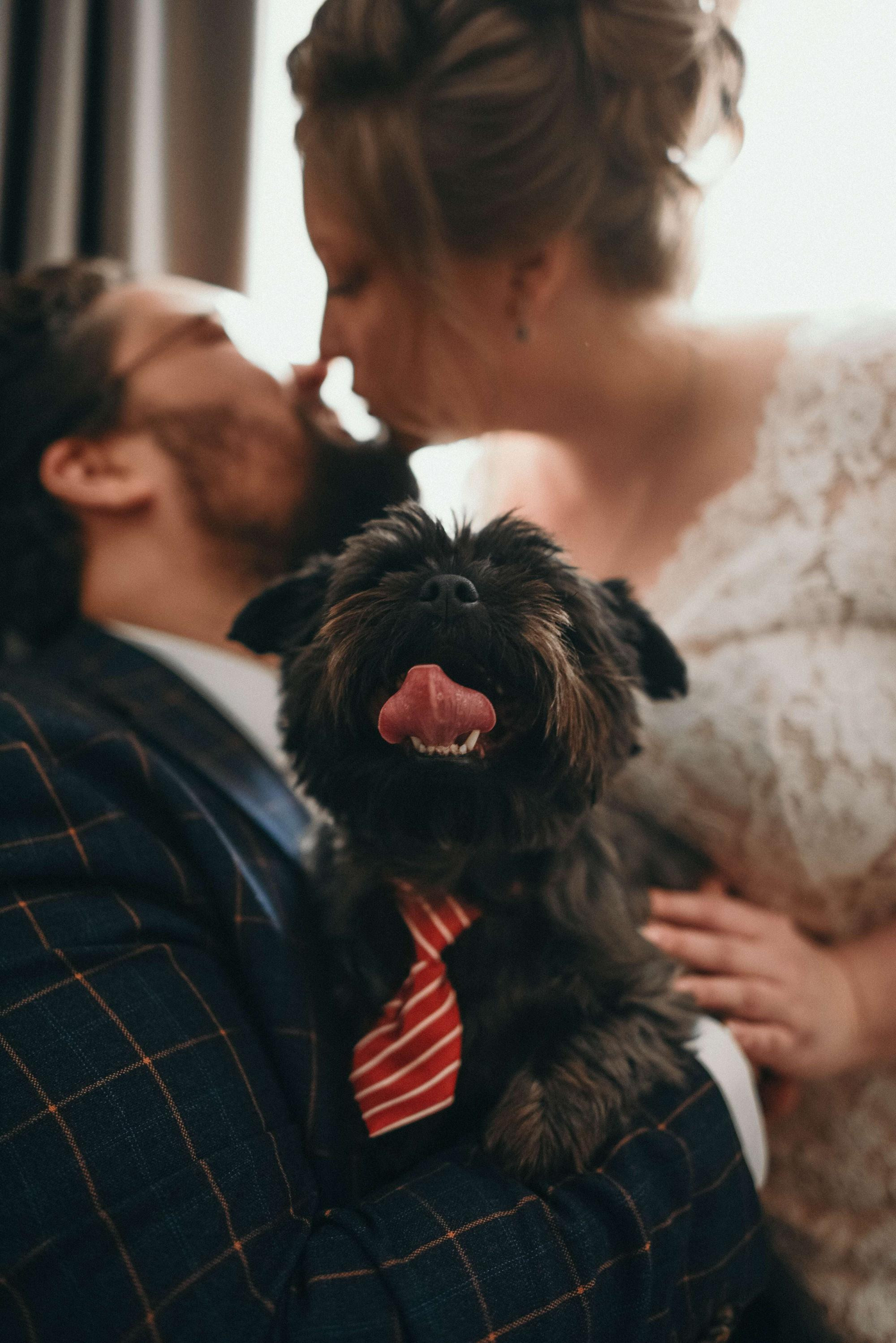 Свадьба Никиты и Надежды. Семейный и свадебный фотограф в Санкт-Петербурге Яна