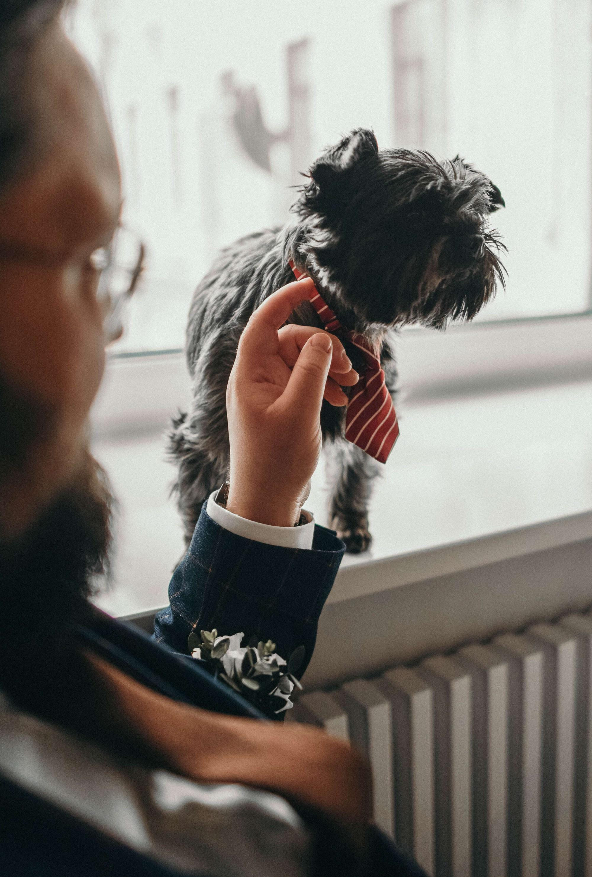 Свадьба Никиты и Надежды. Семейный и свадебный фотограф в Санкт-Петербурге Яна