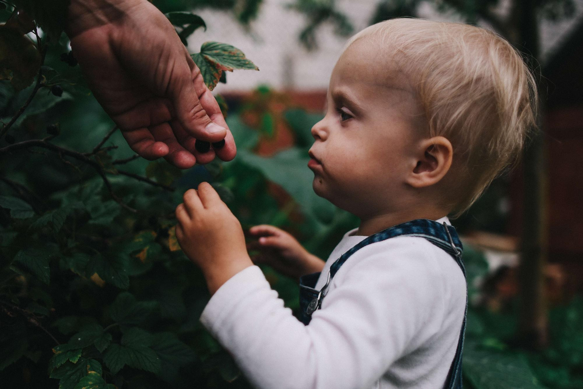 Двойняшки. Семейный и свадебный фотограф в Санкт-Петербурге Яна