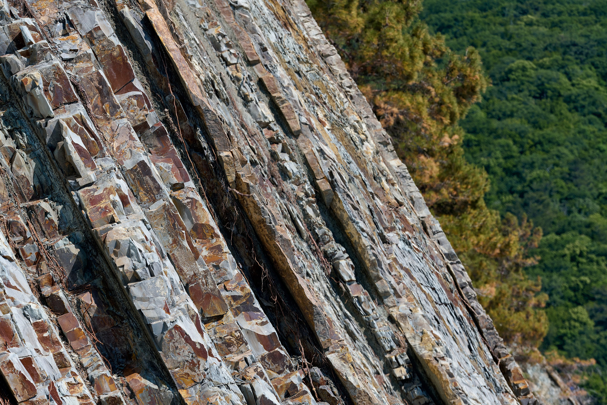 Геленджикский район, Краснодарский край, Кавказ, Черное море, скалы, горы, сосны, пляж