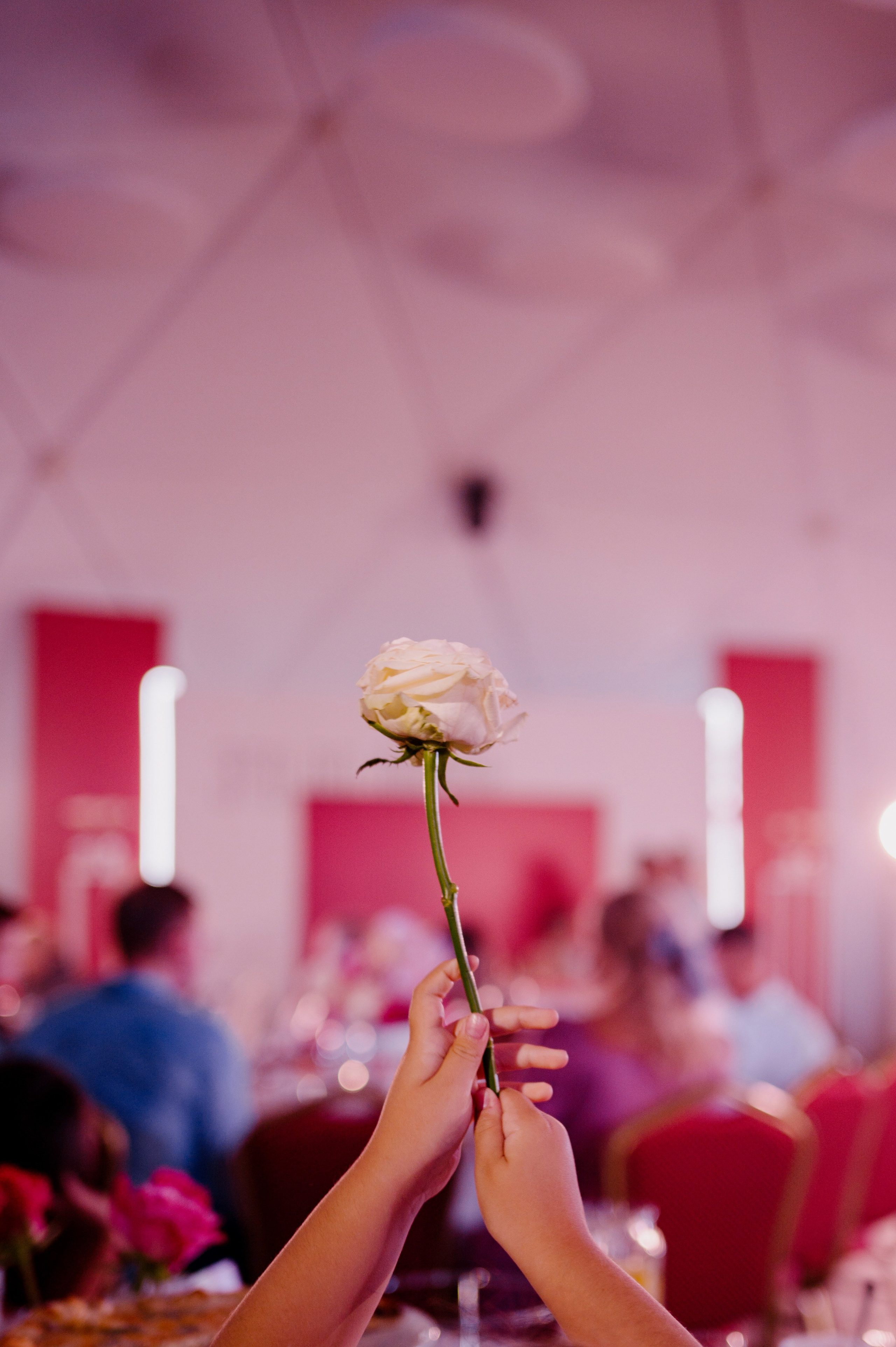 НАСТЯ И ЕГОР. Свадебный и семейный фотограф Никита Корохов