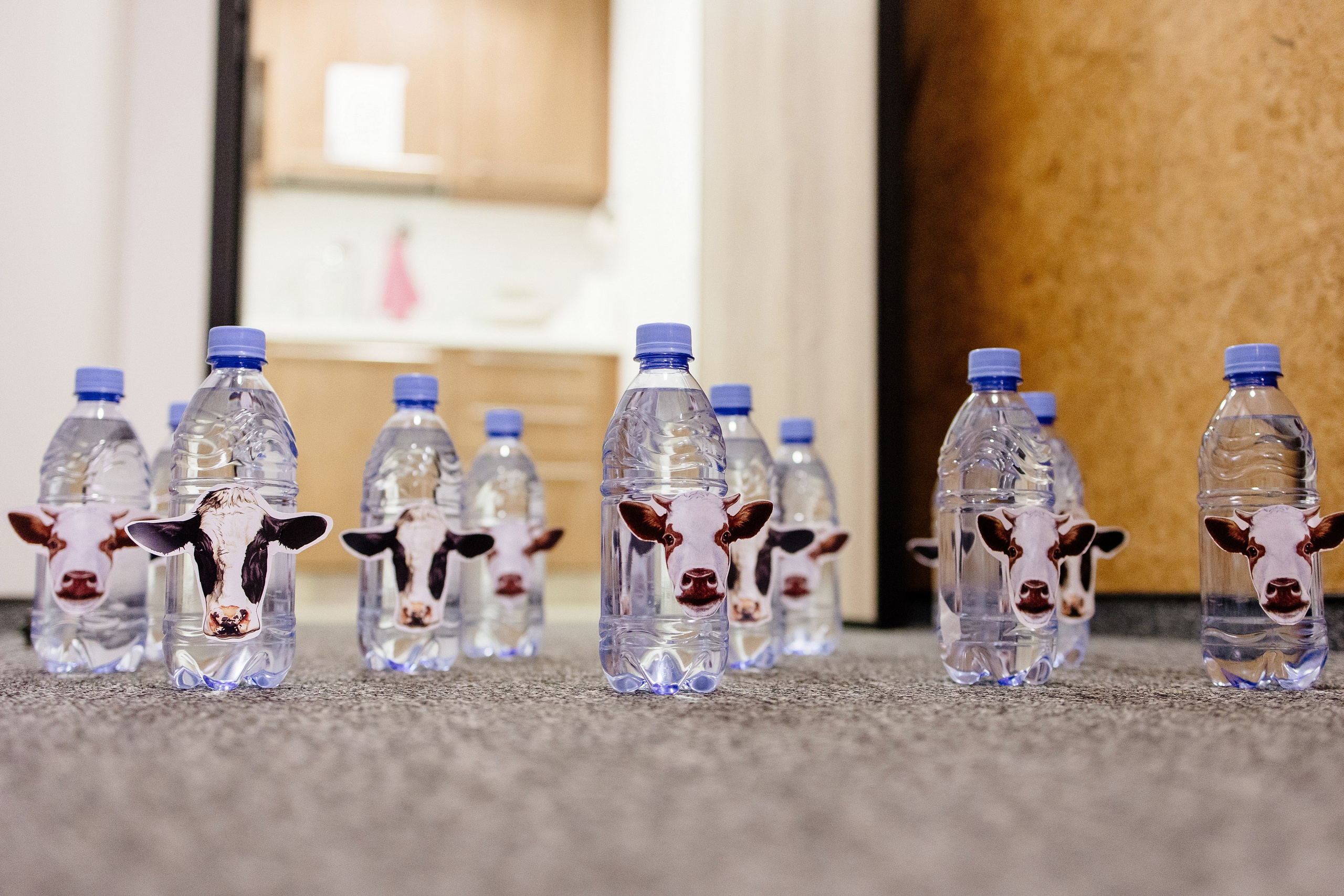 Ковбойский корпоратив. Свадебный и семейный фотограф Екатерина Иванова