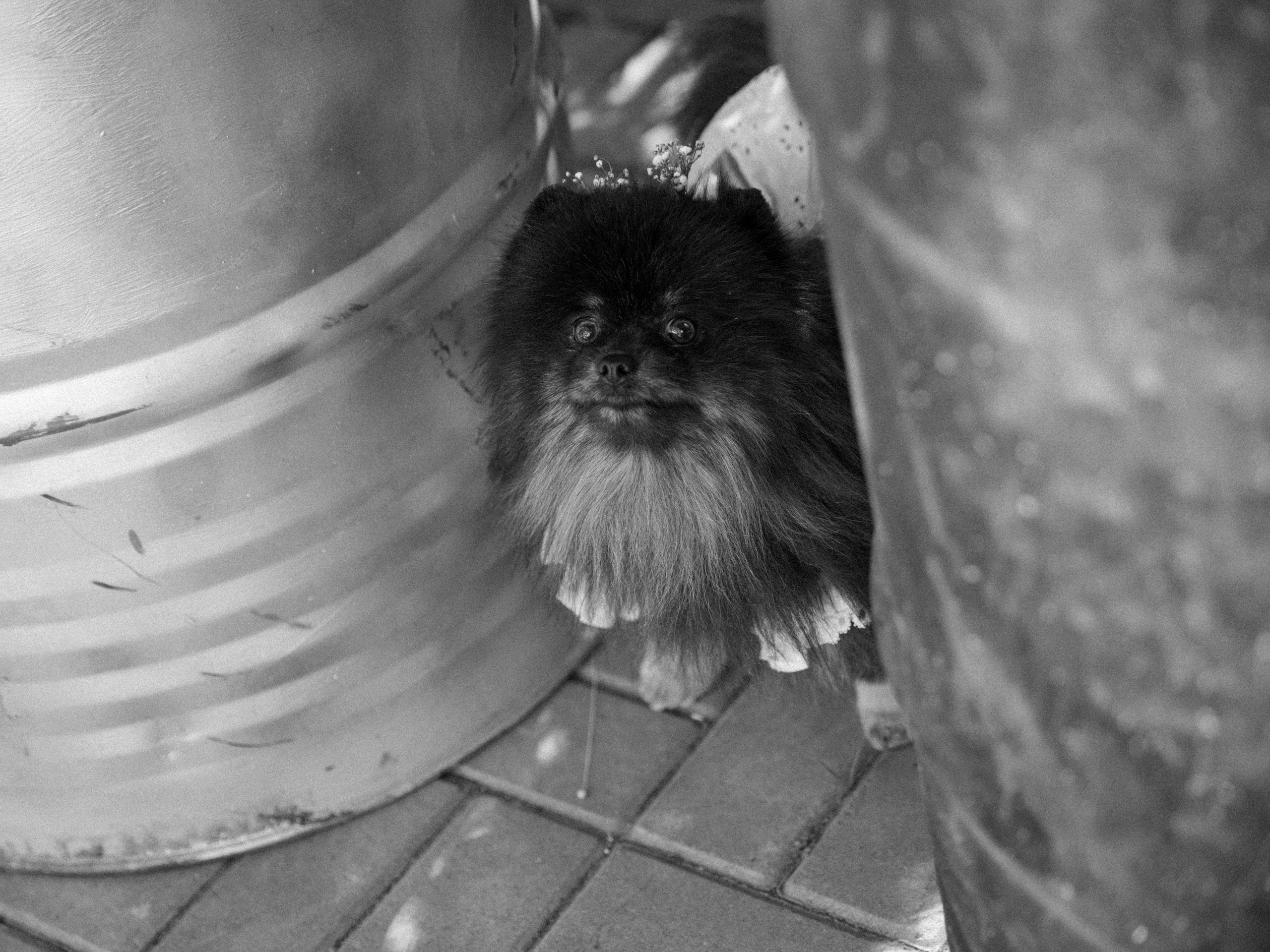 Анонс Wedding day Андрей и Анастасия. Свадебный фотограф Колесников Антон