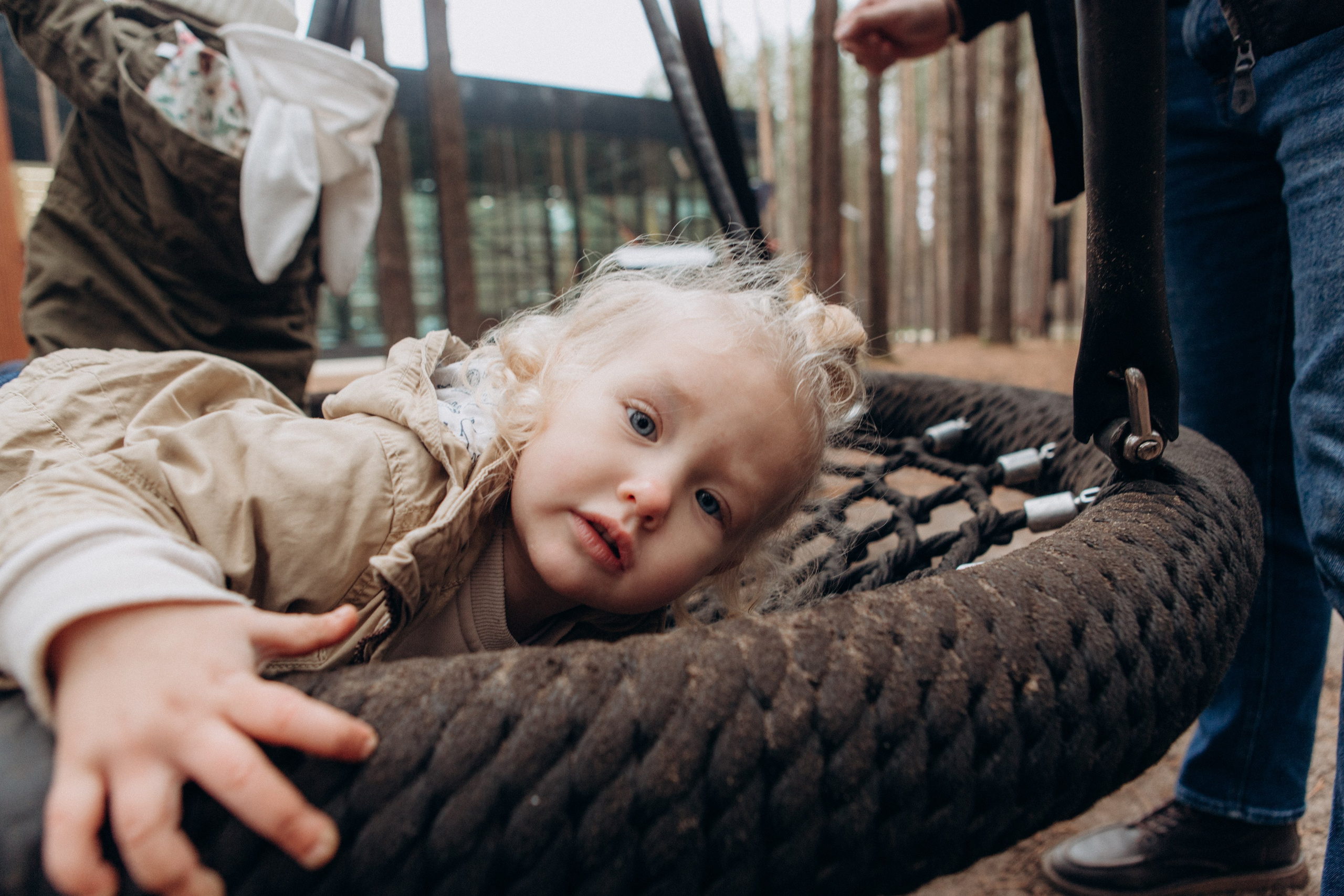 «Осенние лучики». Фотограф в Ухте