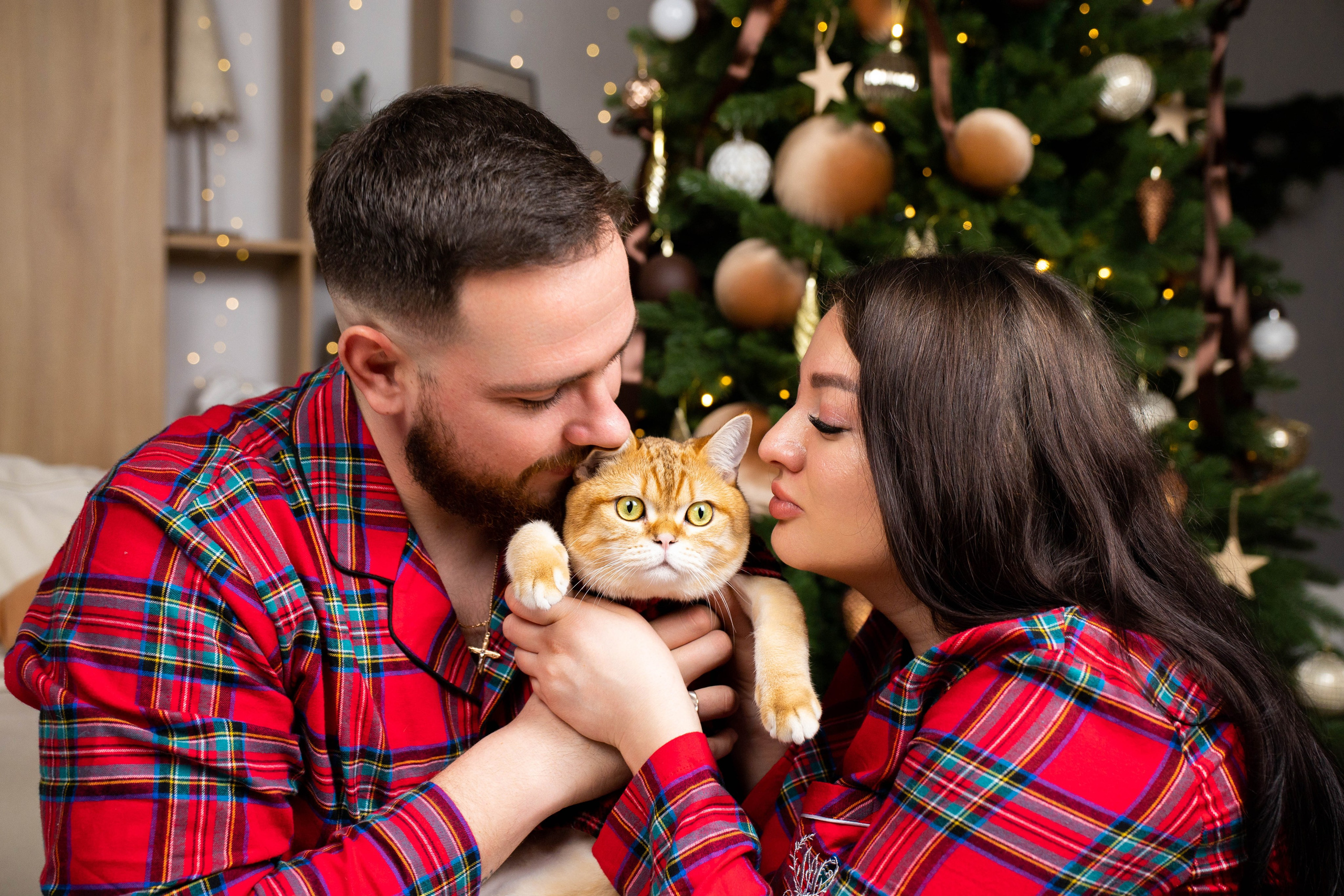 Фотосессия семейная «Новый год c пушистиком». Фотограф в Крыму Татьяна Барицкая ЕНОТИКА