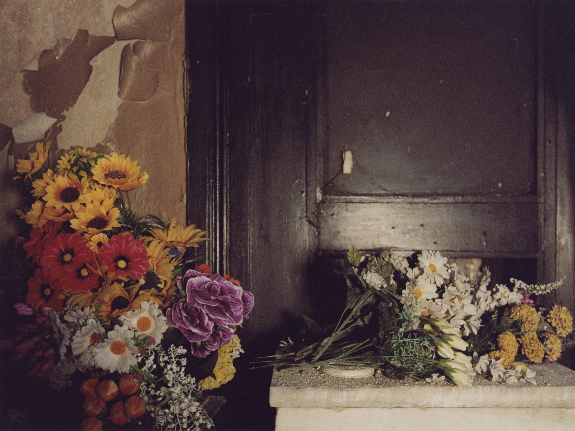 Photographer Olya Pegova