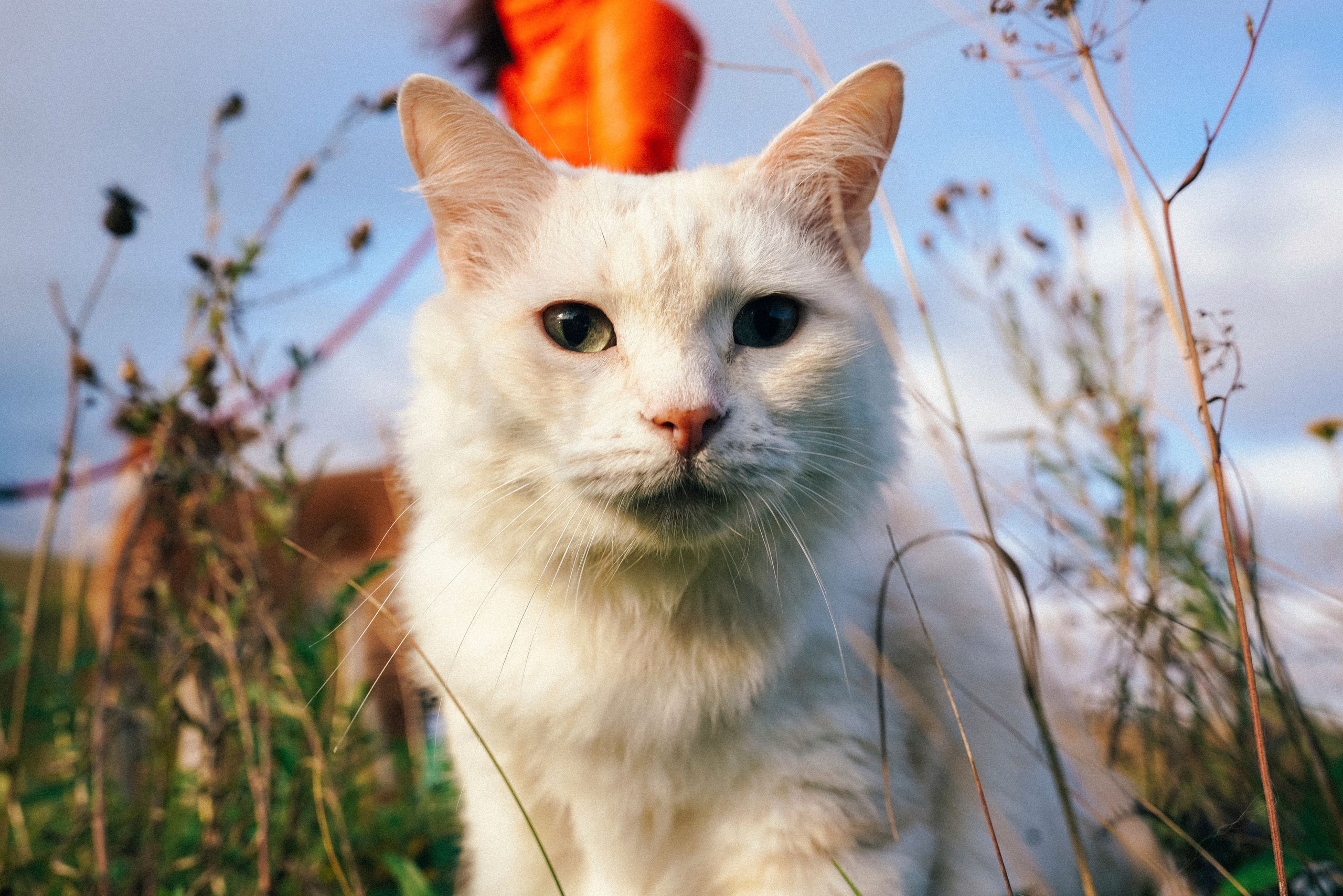 «Наша маленькая безумная семья». Фотограф Казань